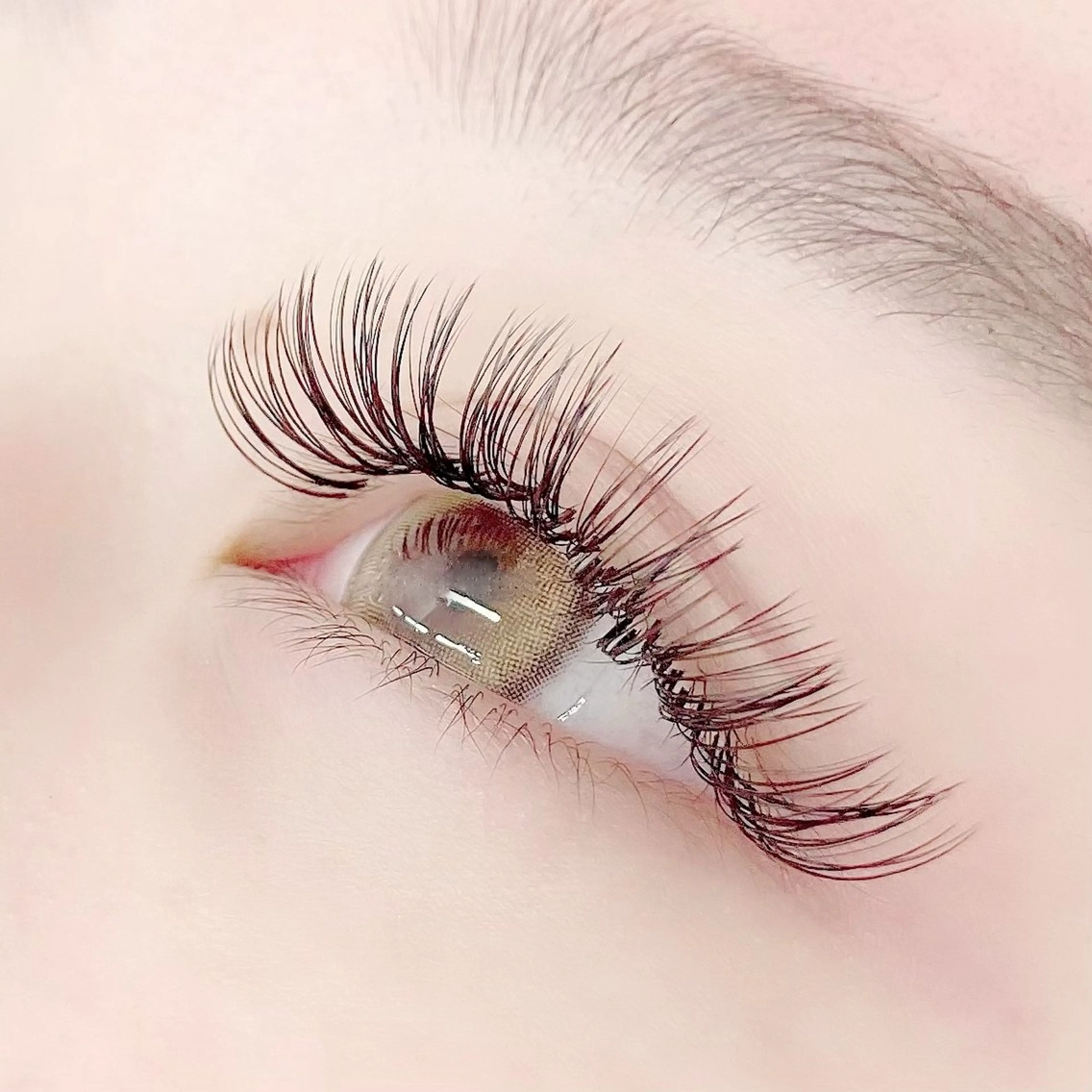 【新規】バインドロック80束の写真