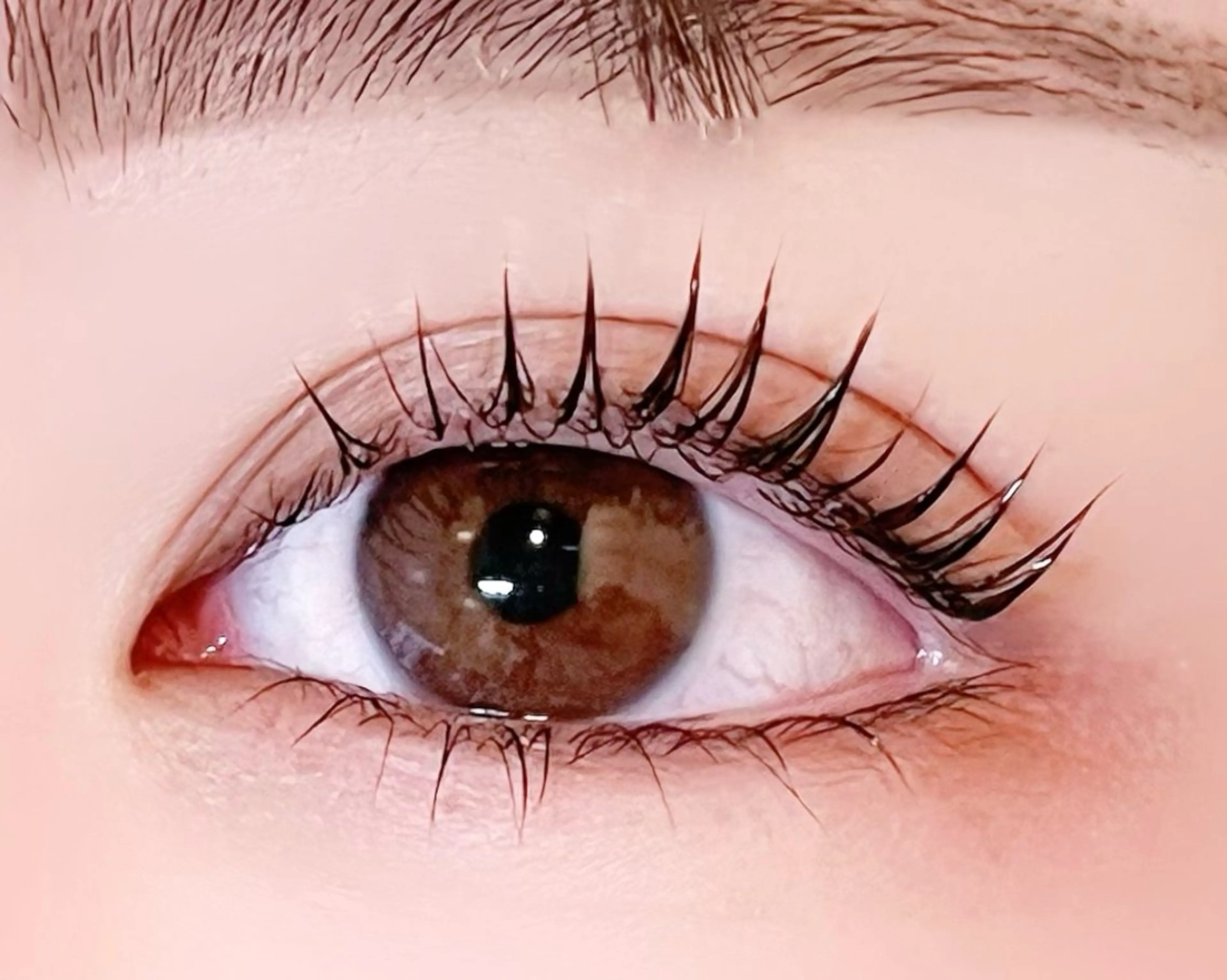 韓国発🇰🇷マスカラパーマ🇰🇷（パリジェンヌ変更＋300円）の写真