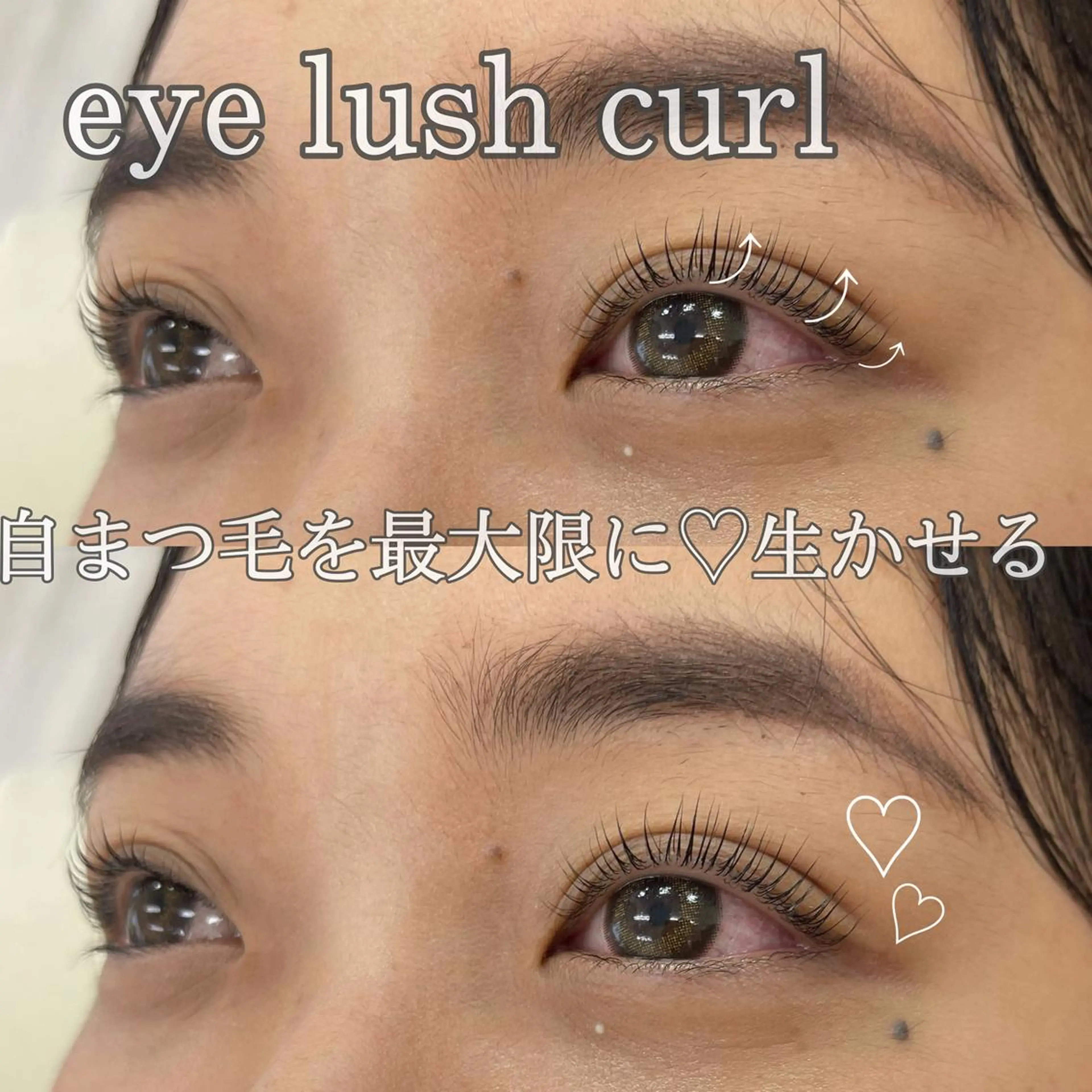 OPEN価格🦋ラッシュリフト【上下】¥6600🦋現金支払い限定⚠️の写真