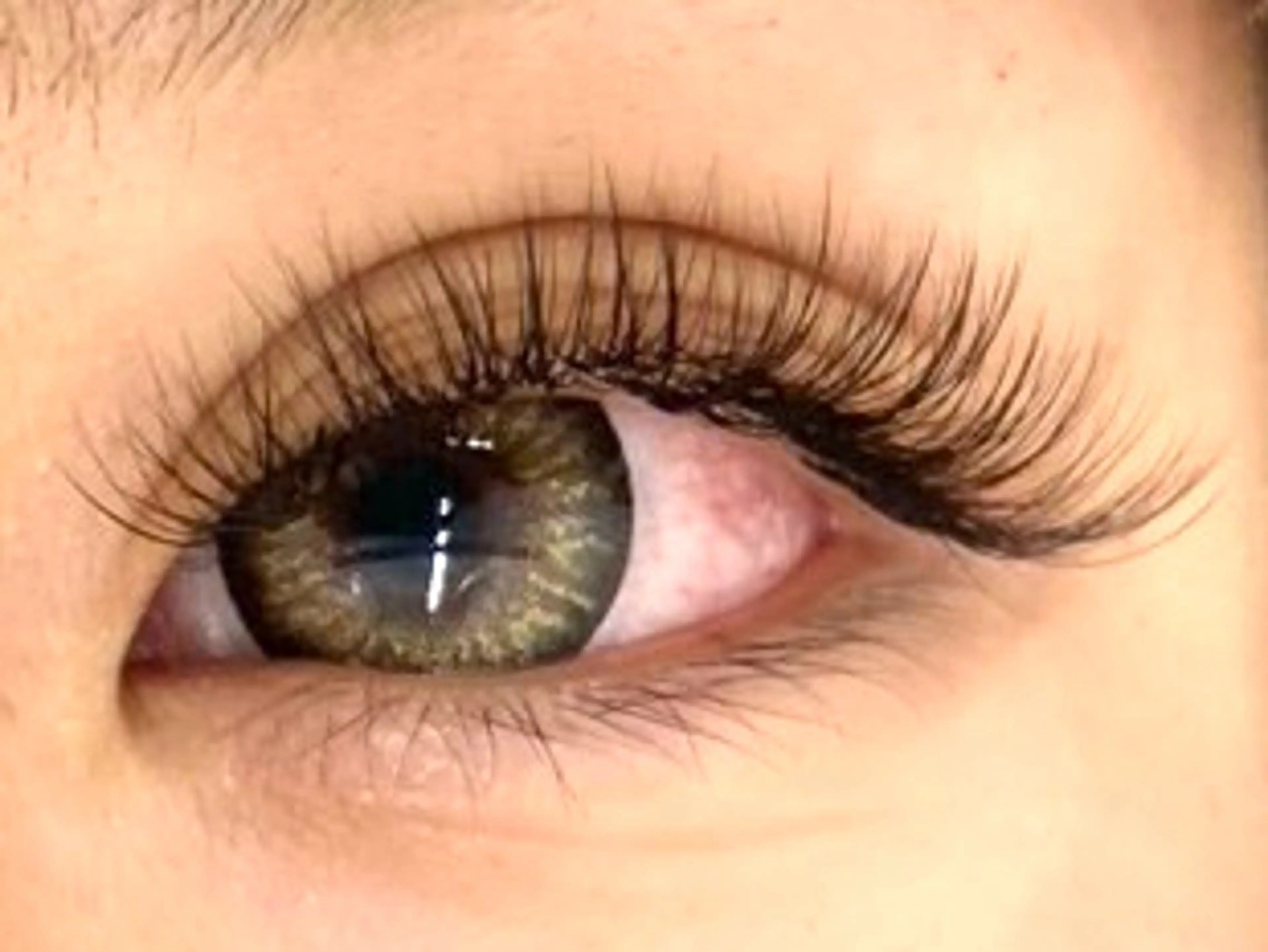 🐣🤍バインドロック上60束（オフなし）の写真