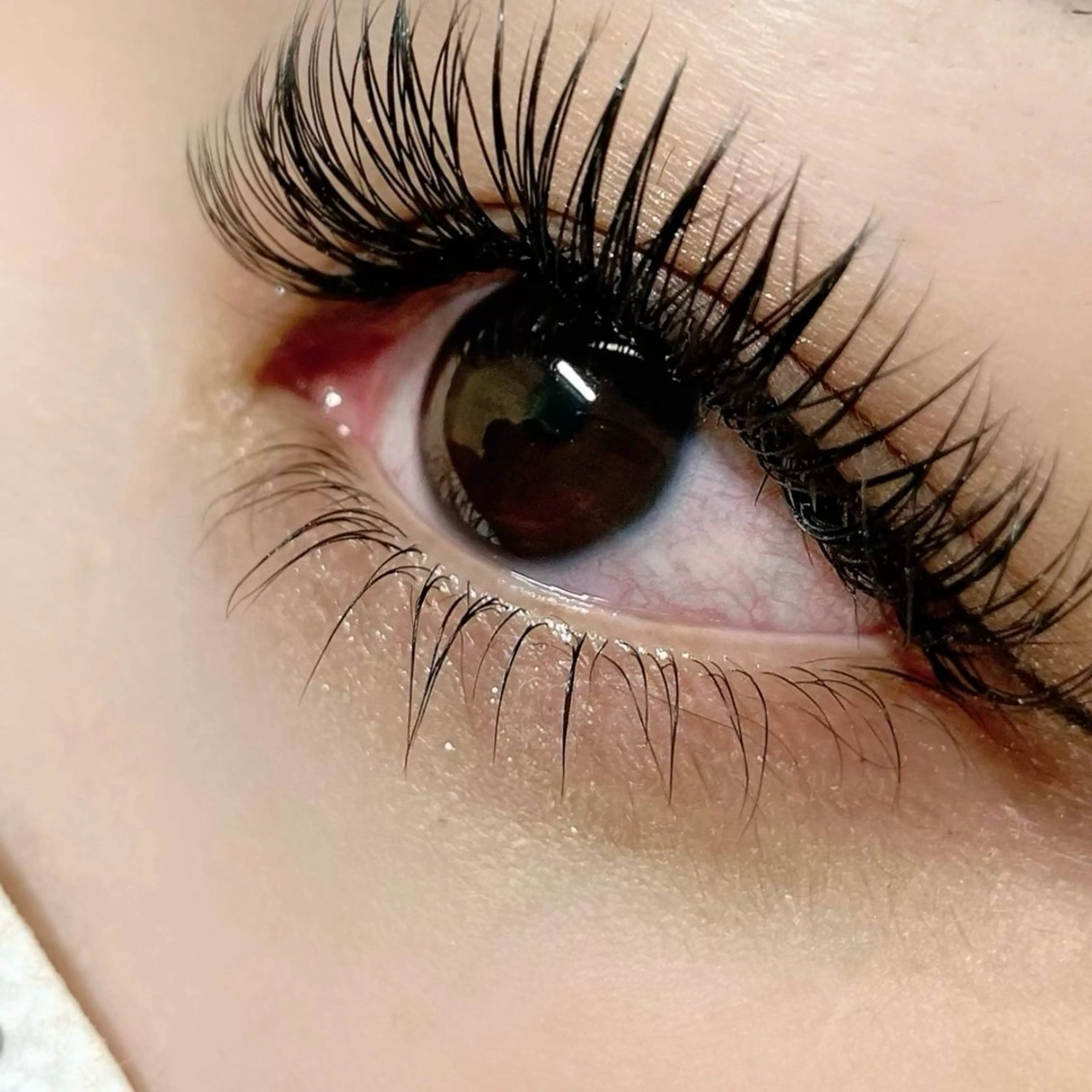 【まつげパーマ】似合わせ*ラッシュリフト下(コーティング付)¥3,600の写真