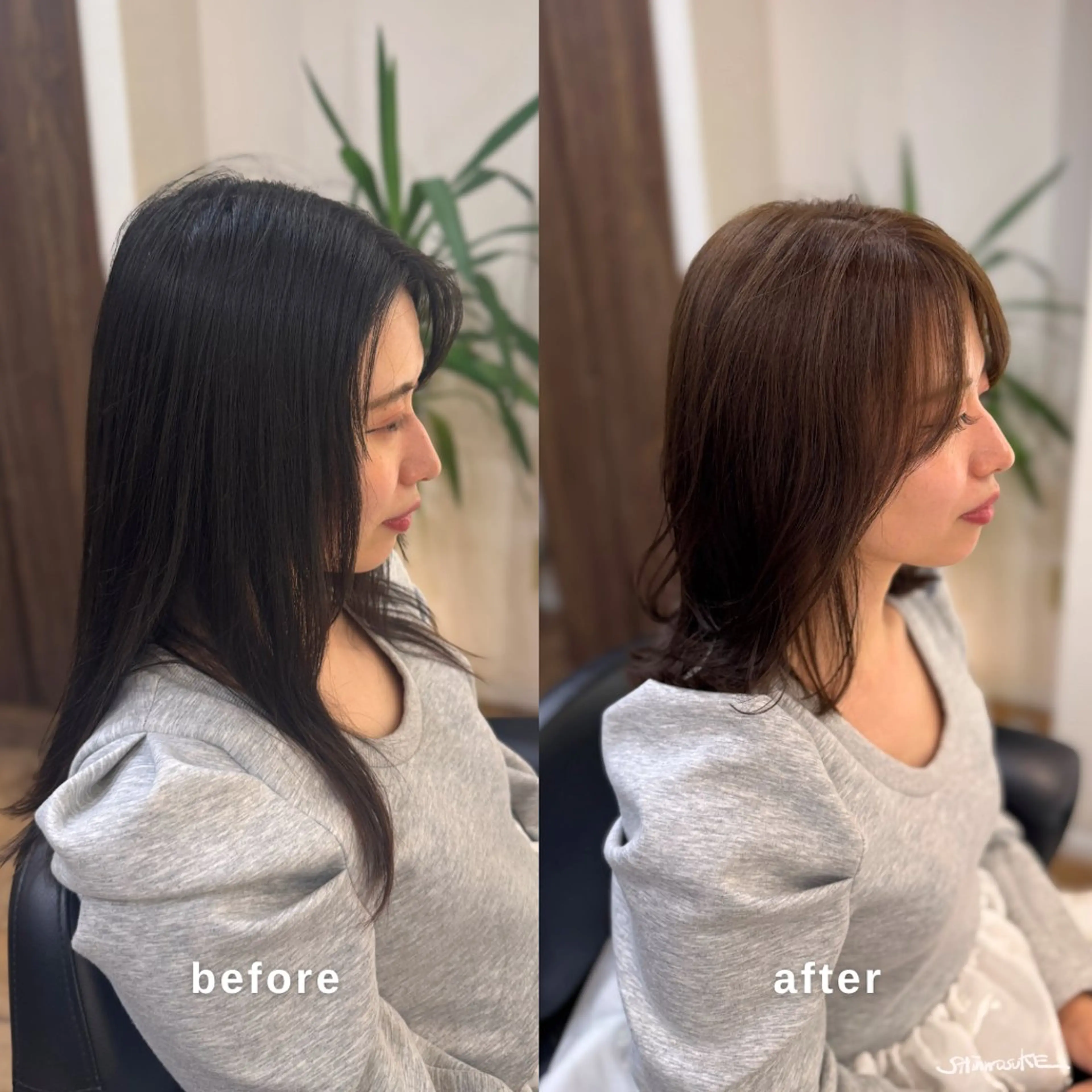 セミロング カラー ブラウンカラー 外ハネヘア カット ヘアカラー トリートメント ヘアセット しんのすけ /モデルさん募集中のヘアスタイル