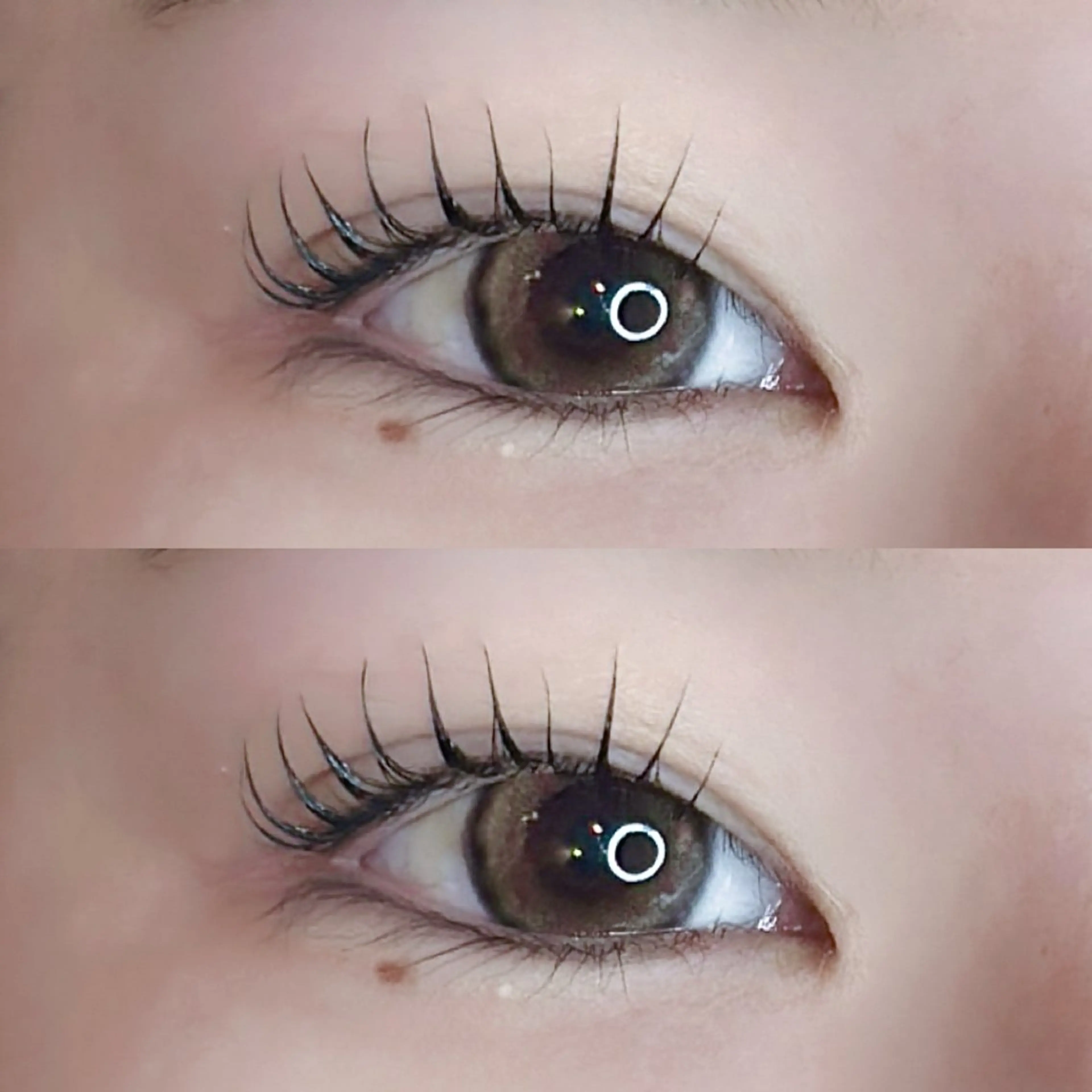 【パリジェンヌラッシュリフト🎀】束感！！！の写真