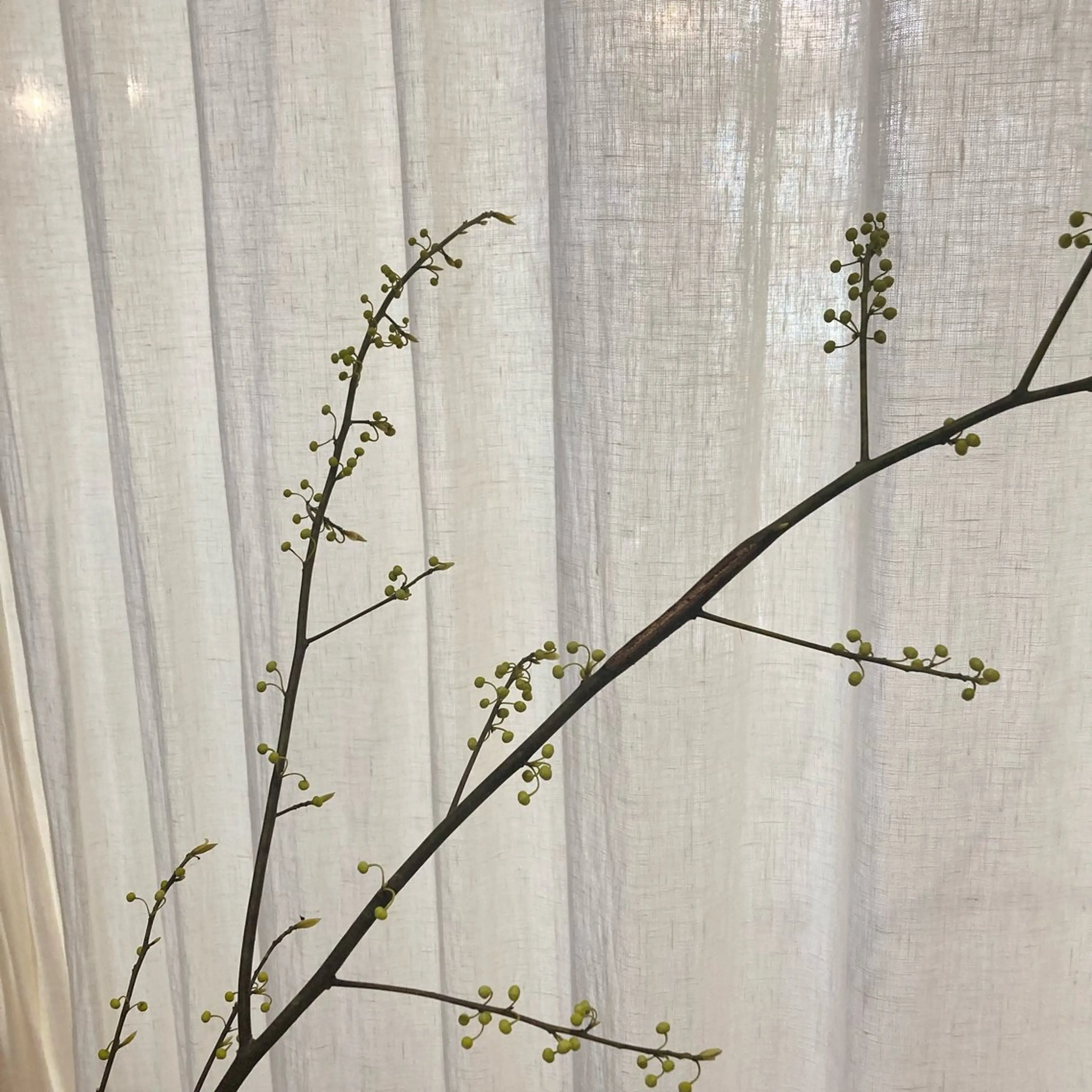 和漢よもぎ蒸し mamiのエステ・リラクイメージ