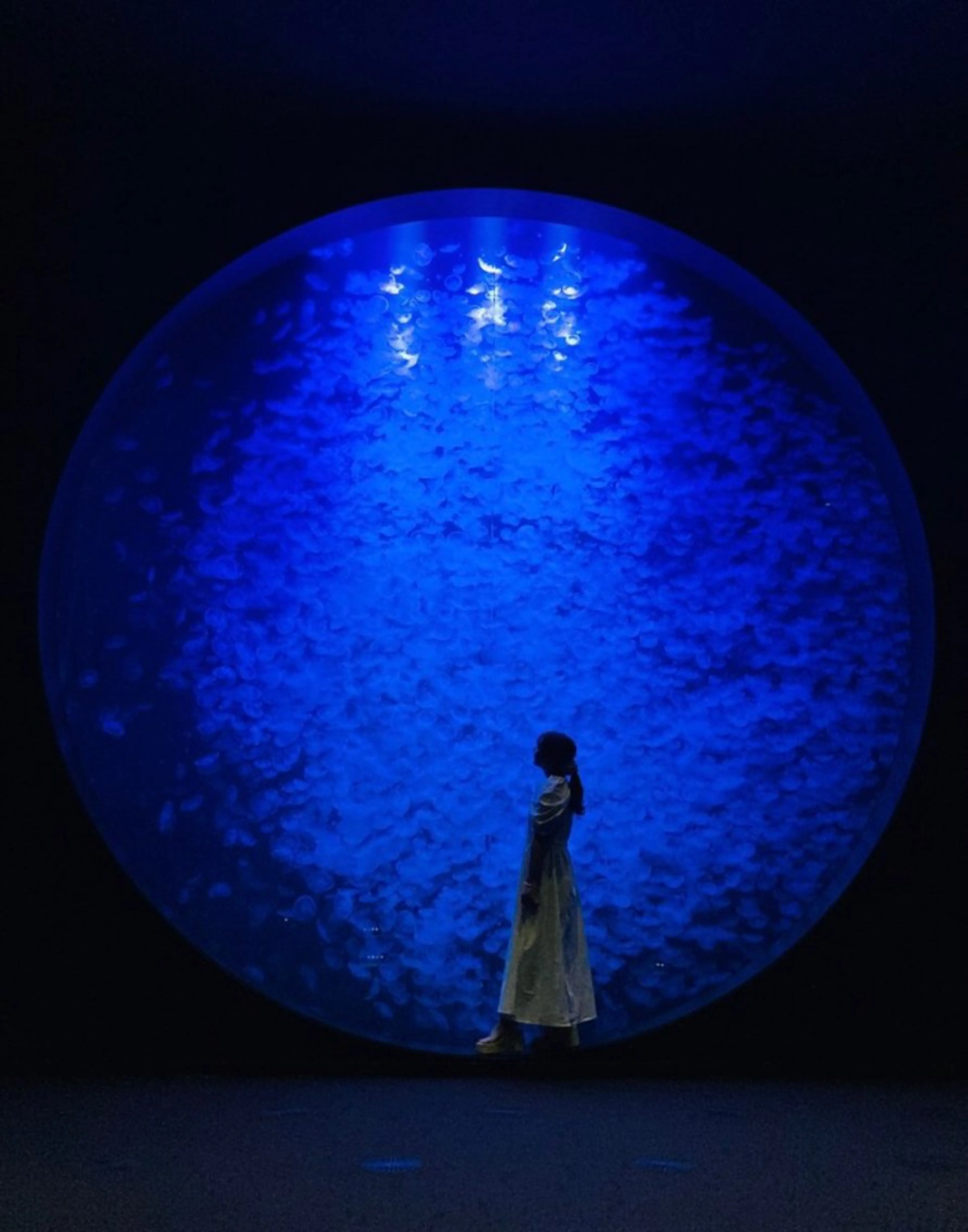 ショート カラー パーマ ヘアアレンジ メンズ キッズ ハーフアップ 子どものヘアアレンジ メンズバレイヤージュ メンズブリーチ メンズハイライト カット ヘアカラー トリートメント ヘッドスパ ヘアセット kotona 🤍miuraのヘアスタイル