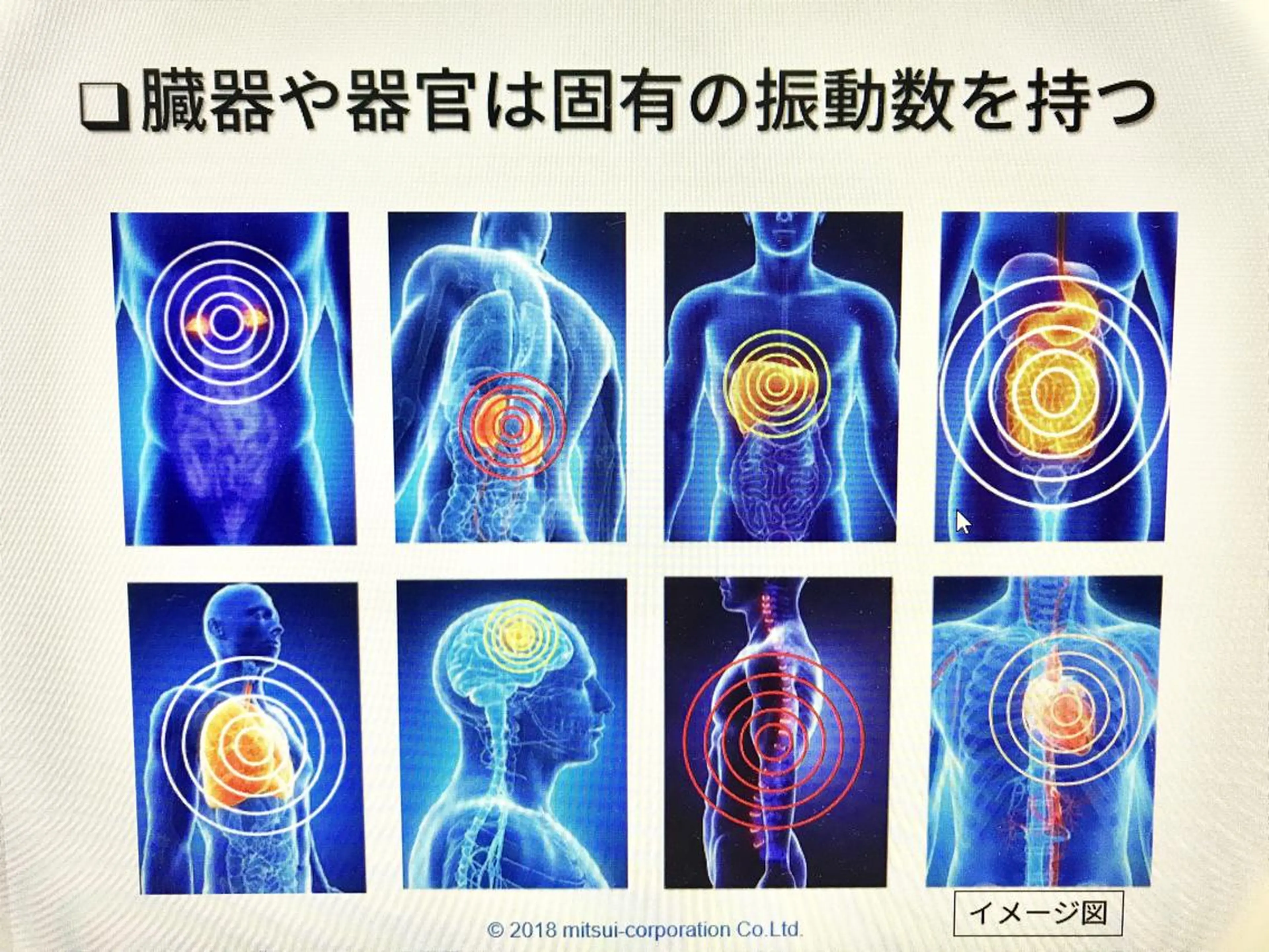ショート×カラー 🦊堀米早紀【荻窪】のマツエク・マツパデザイン