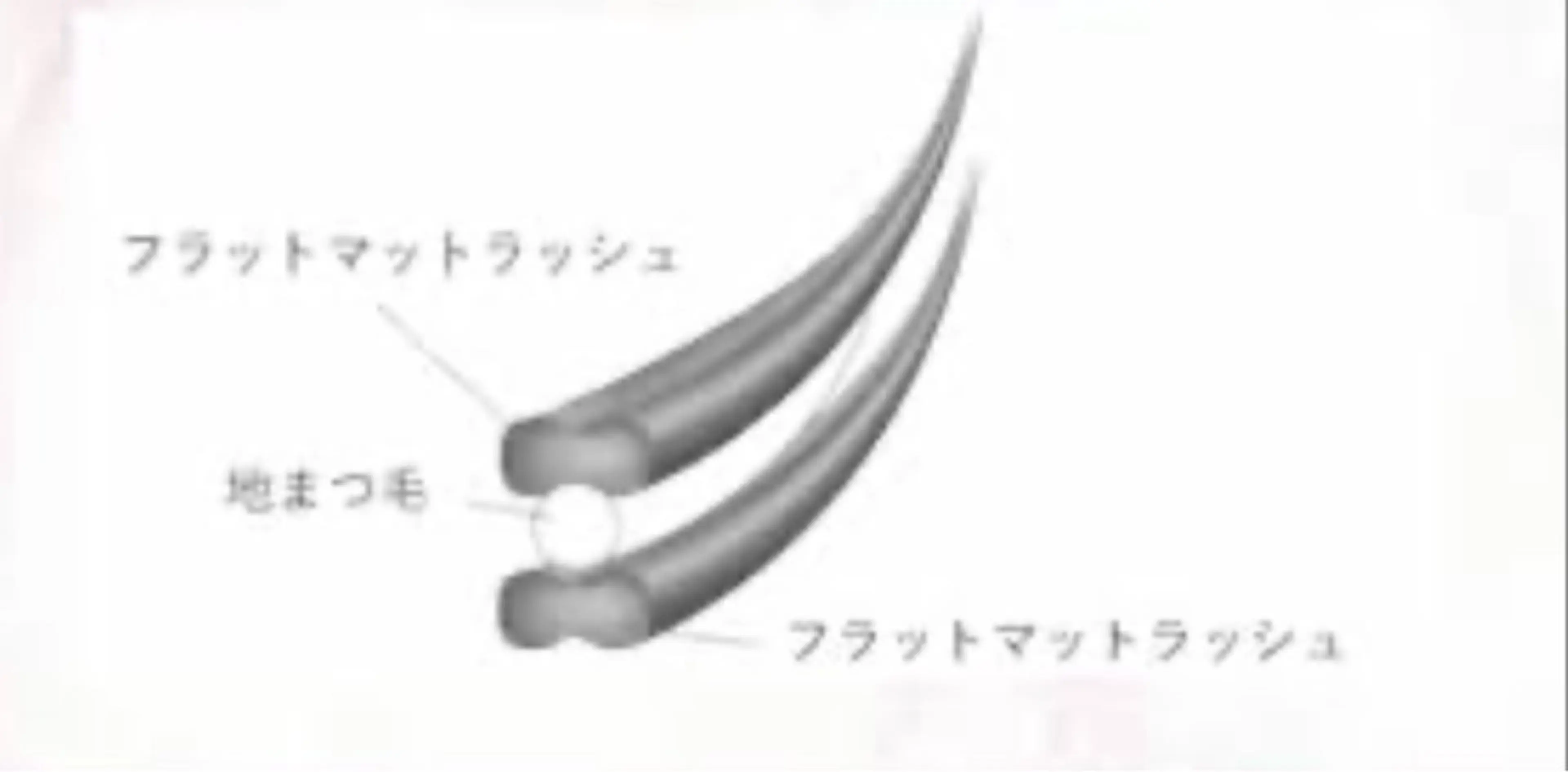 マツエク・マツパ LC アシスタントのマツエク・マツパデザイン