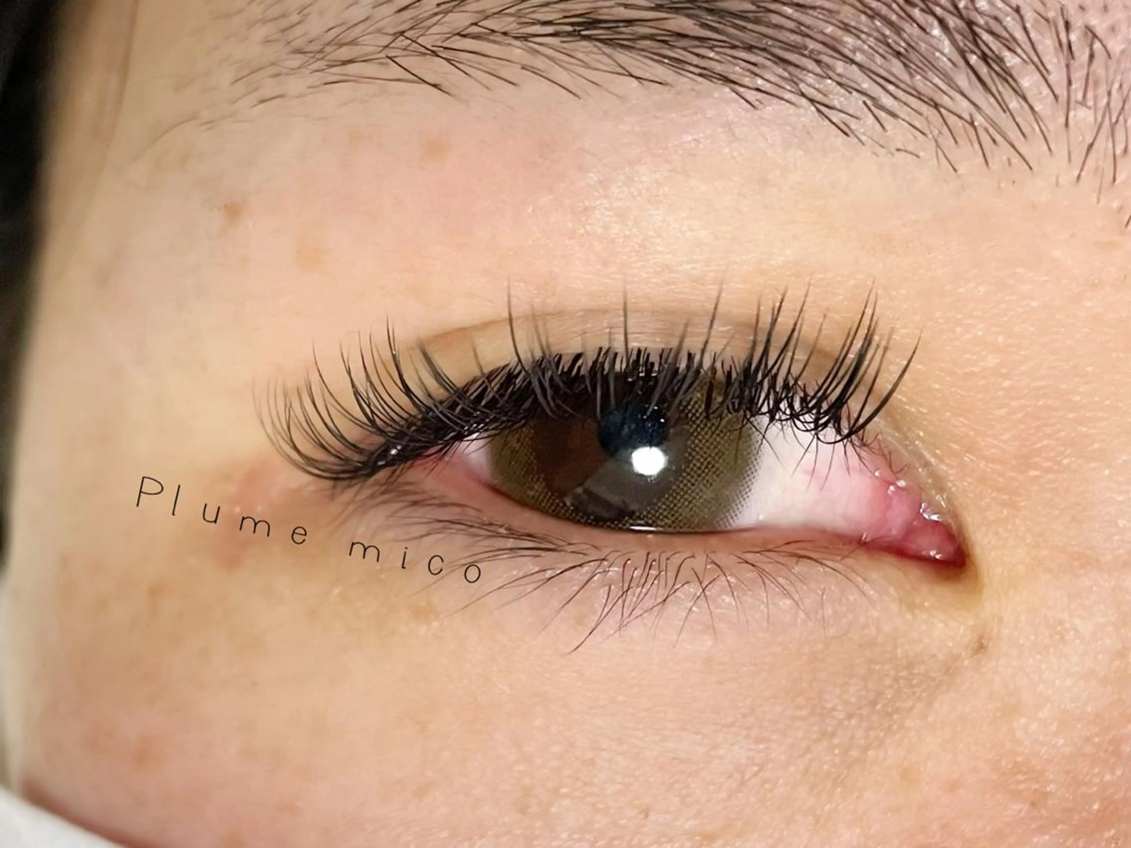 マツエク・マツパ マツエク Plume micoのマツエク・マツパデザイン