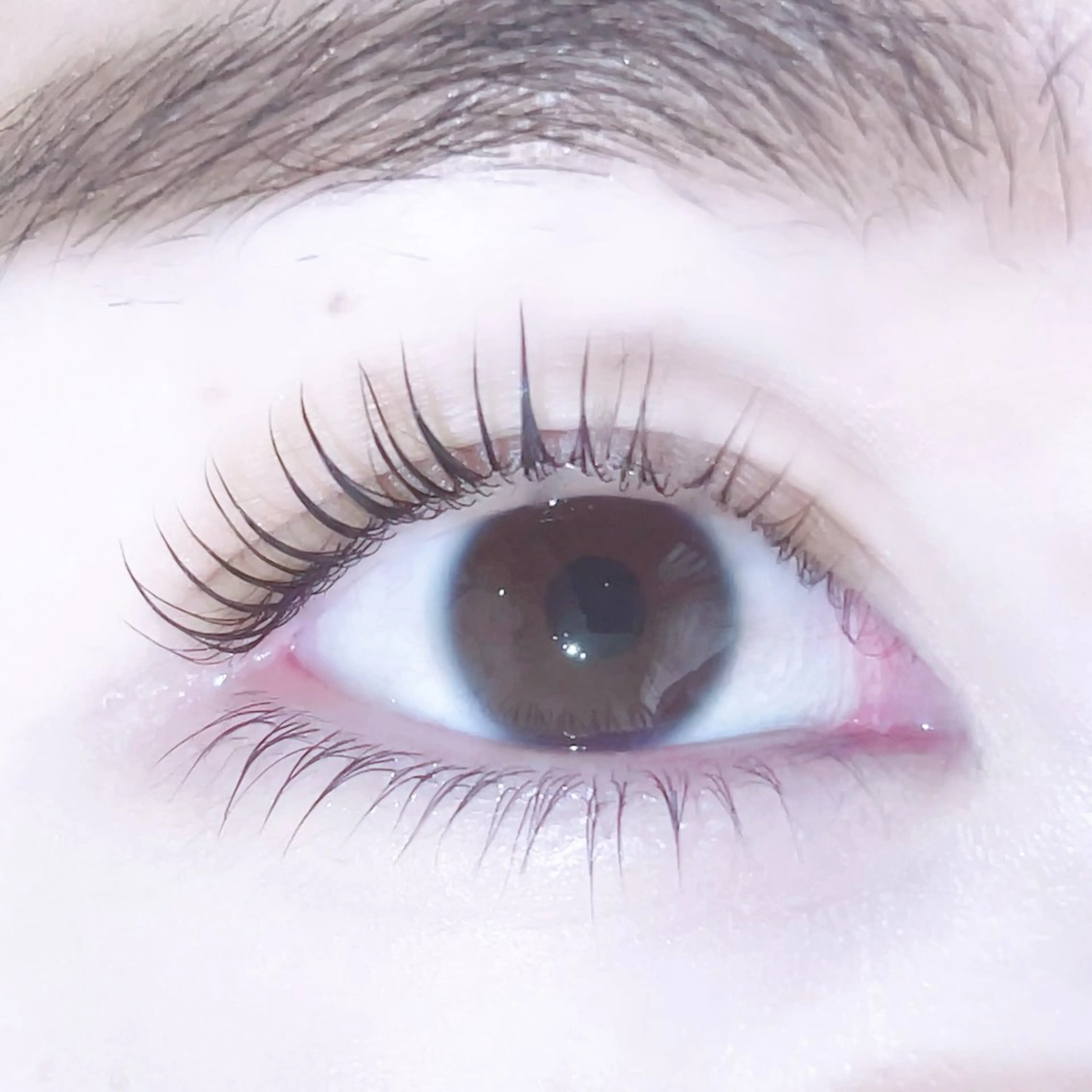 マツエク・マツパ R🌹 ⁺⊹˚.のマツエク・マツパデザイン