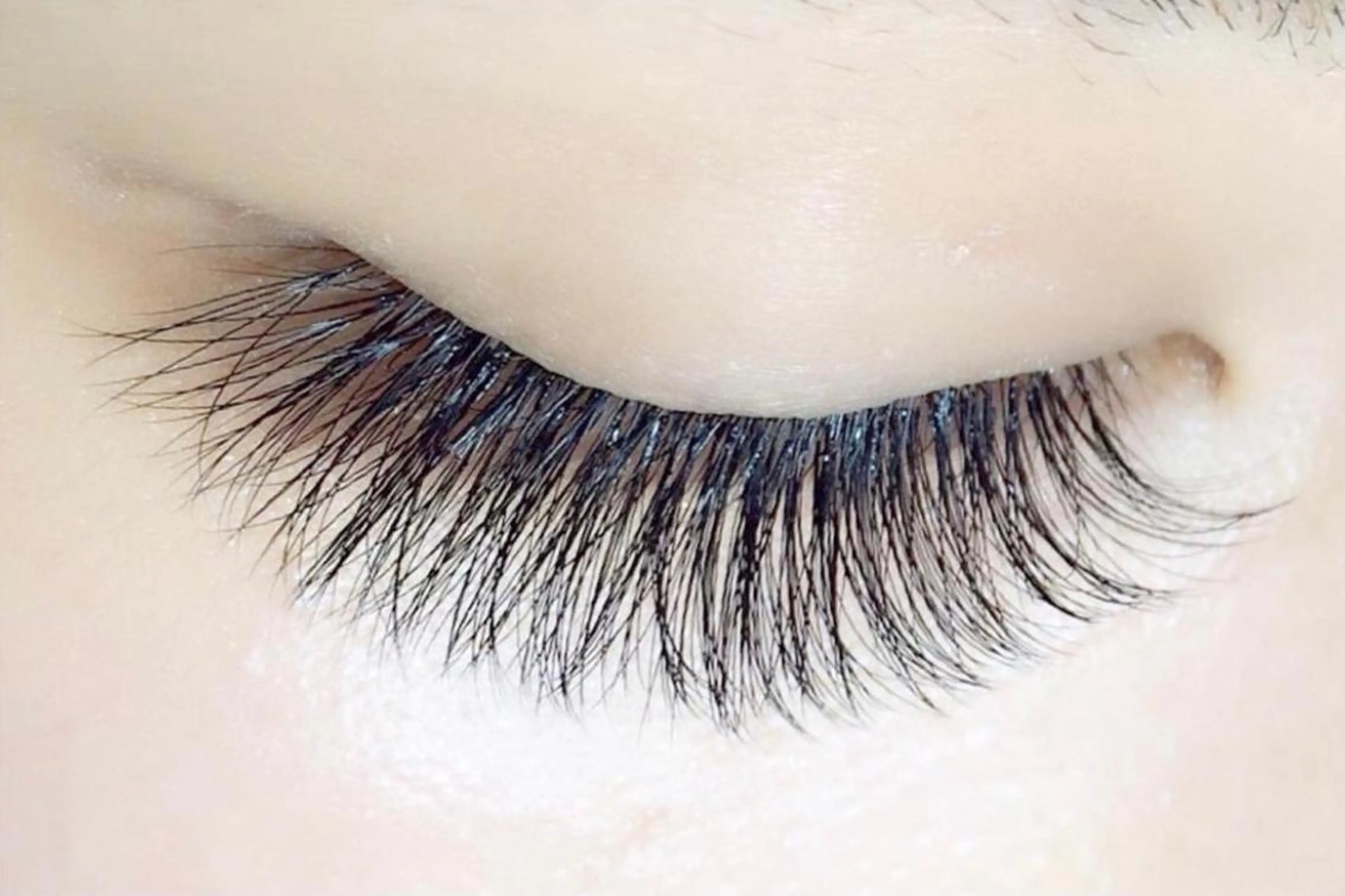 ✨ボリュームレイヤー100束✨（オフ込み）スクリューブラシプレゼント🎁華やかなお目にの写真