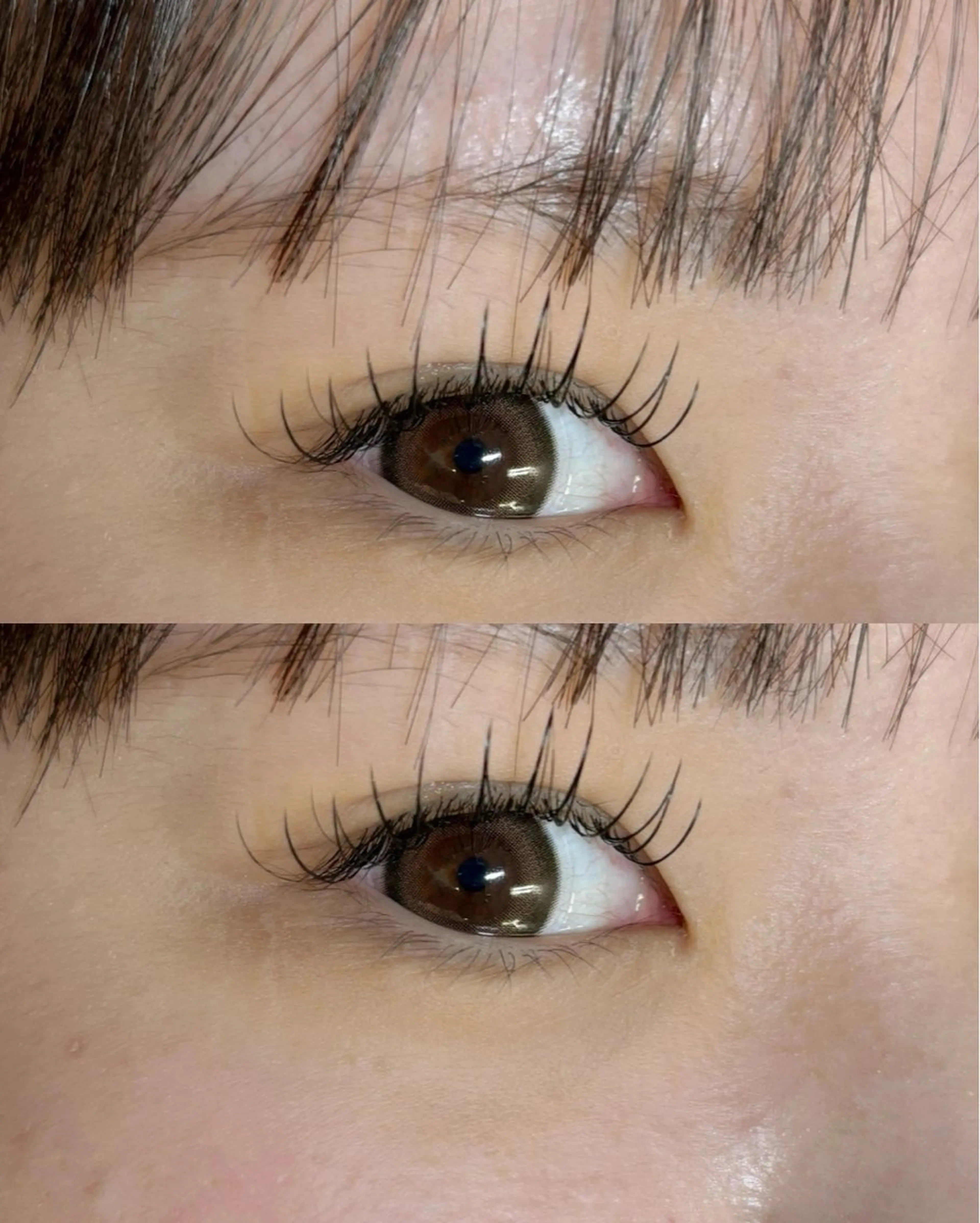 マツエク・マツパ Dカール マツエク ⭐️スギムラ ハルナ⭐️のマツエク・マツパデザイン