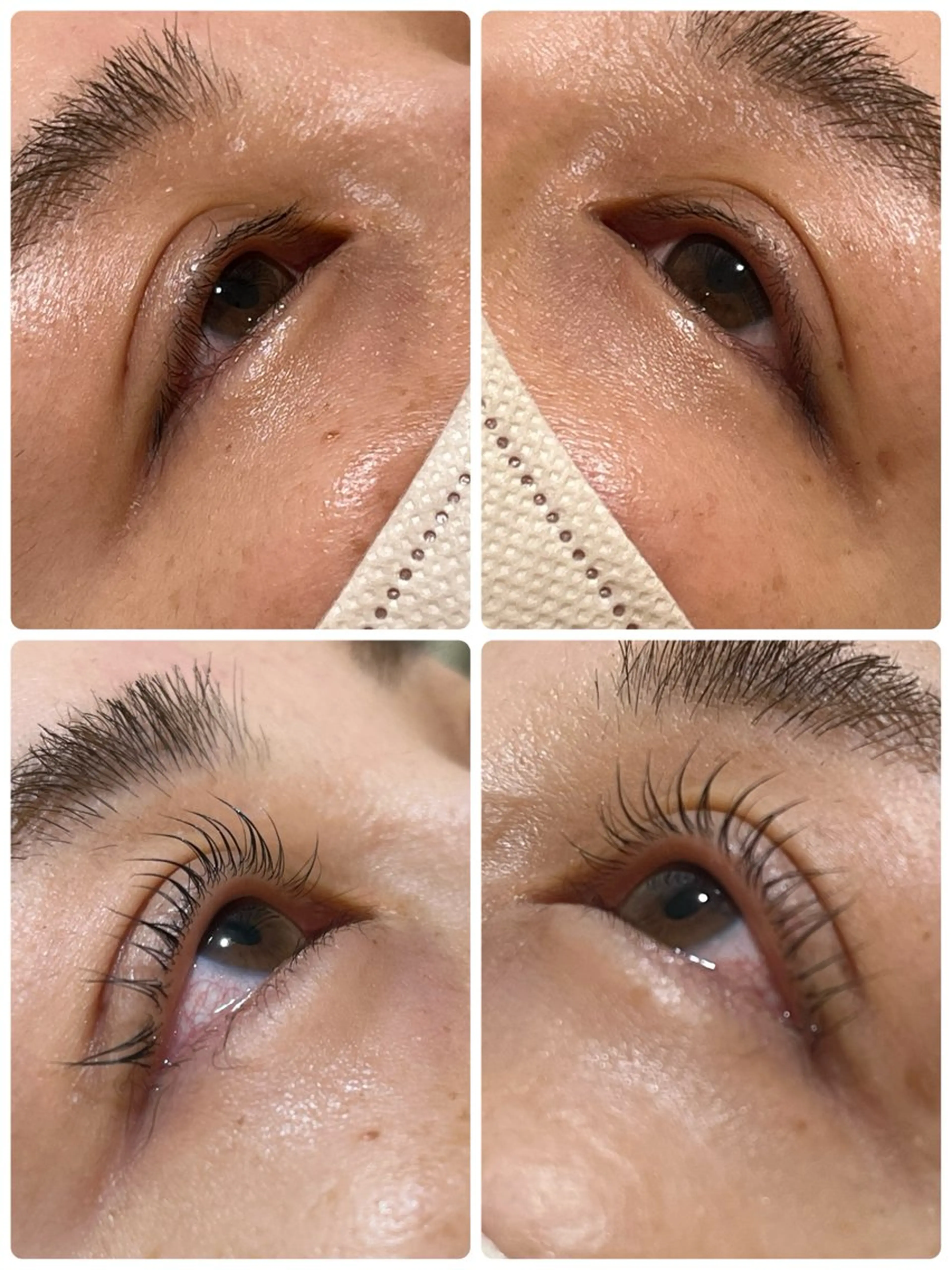 マツエク・マツパ BOGL/ HARAの眉毛・アイブロウイメージ