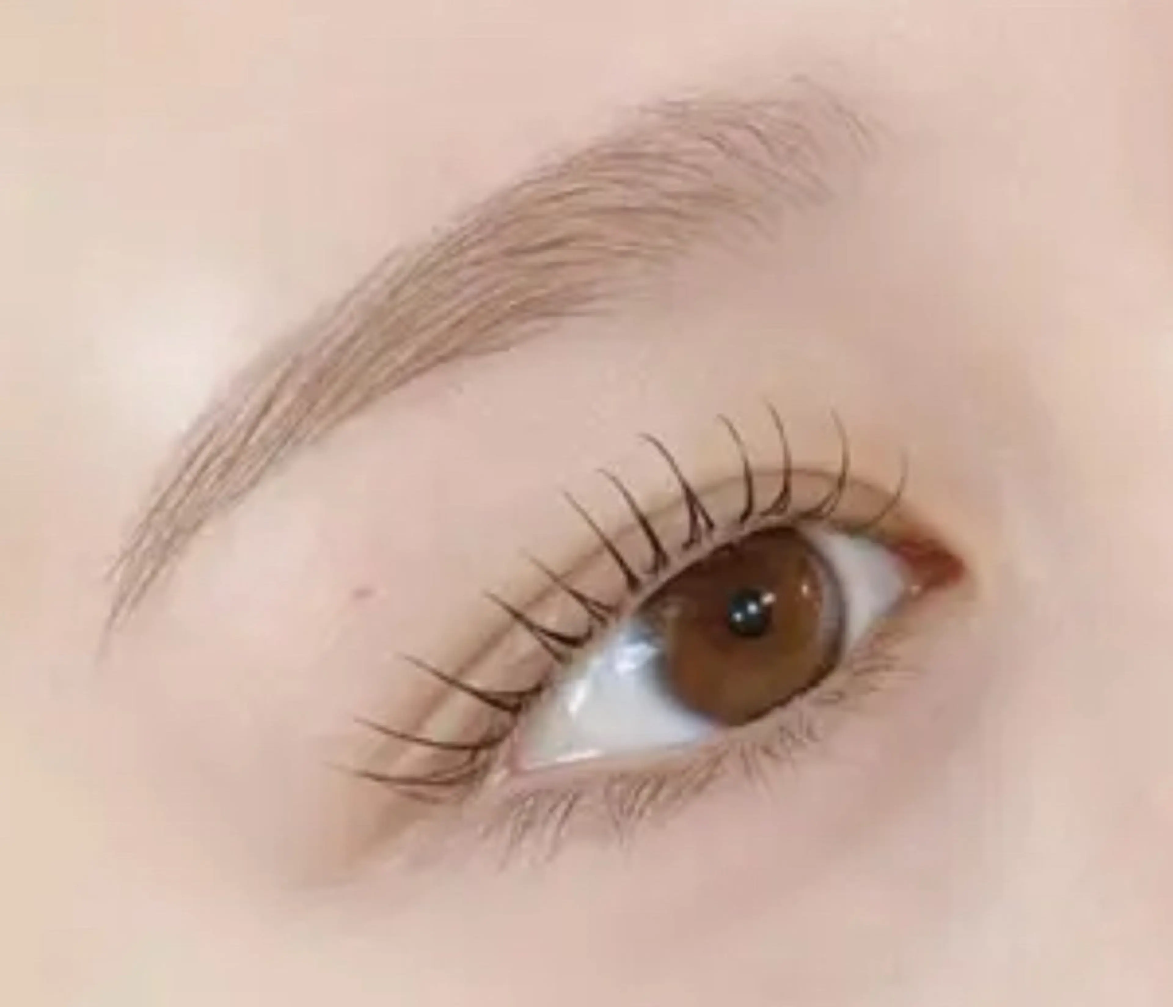 【大人気NO2セット】🍒マツパ＋アイブロウWAXの写真