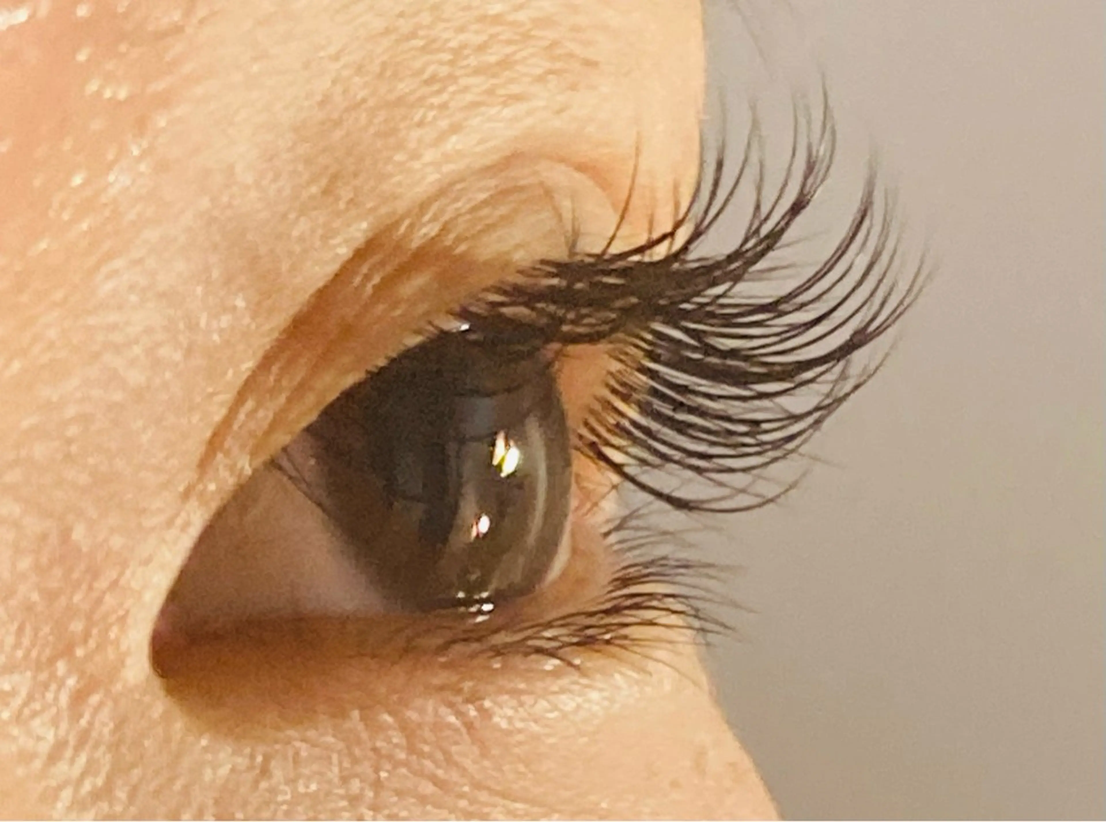 フラットラッシュ80本4000円🌈の写真