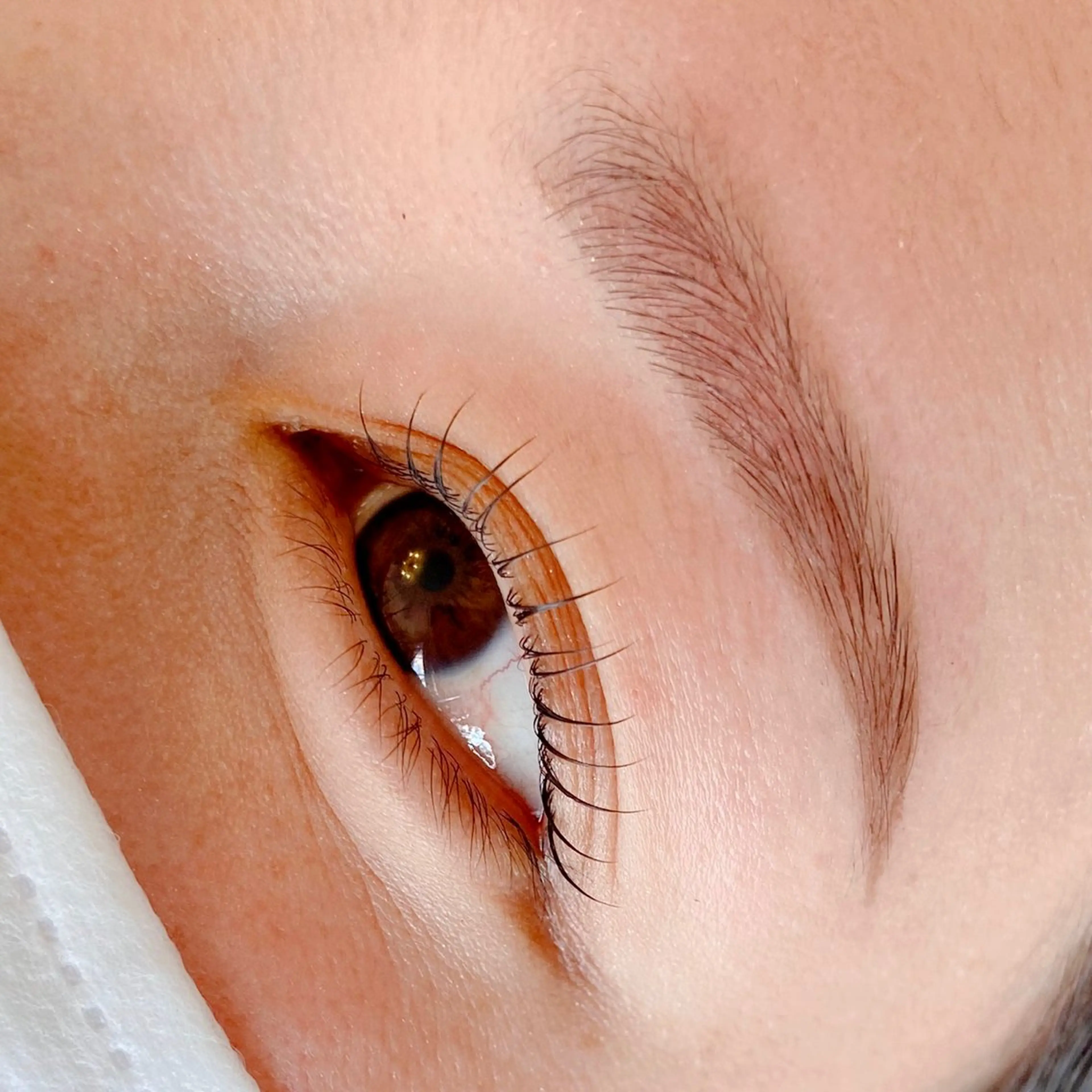 【ふんわり眉スタイリング＋韓国風ラッシュリフト上】目元垢抜けセットメニュー✨の写真