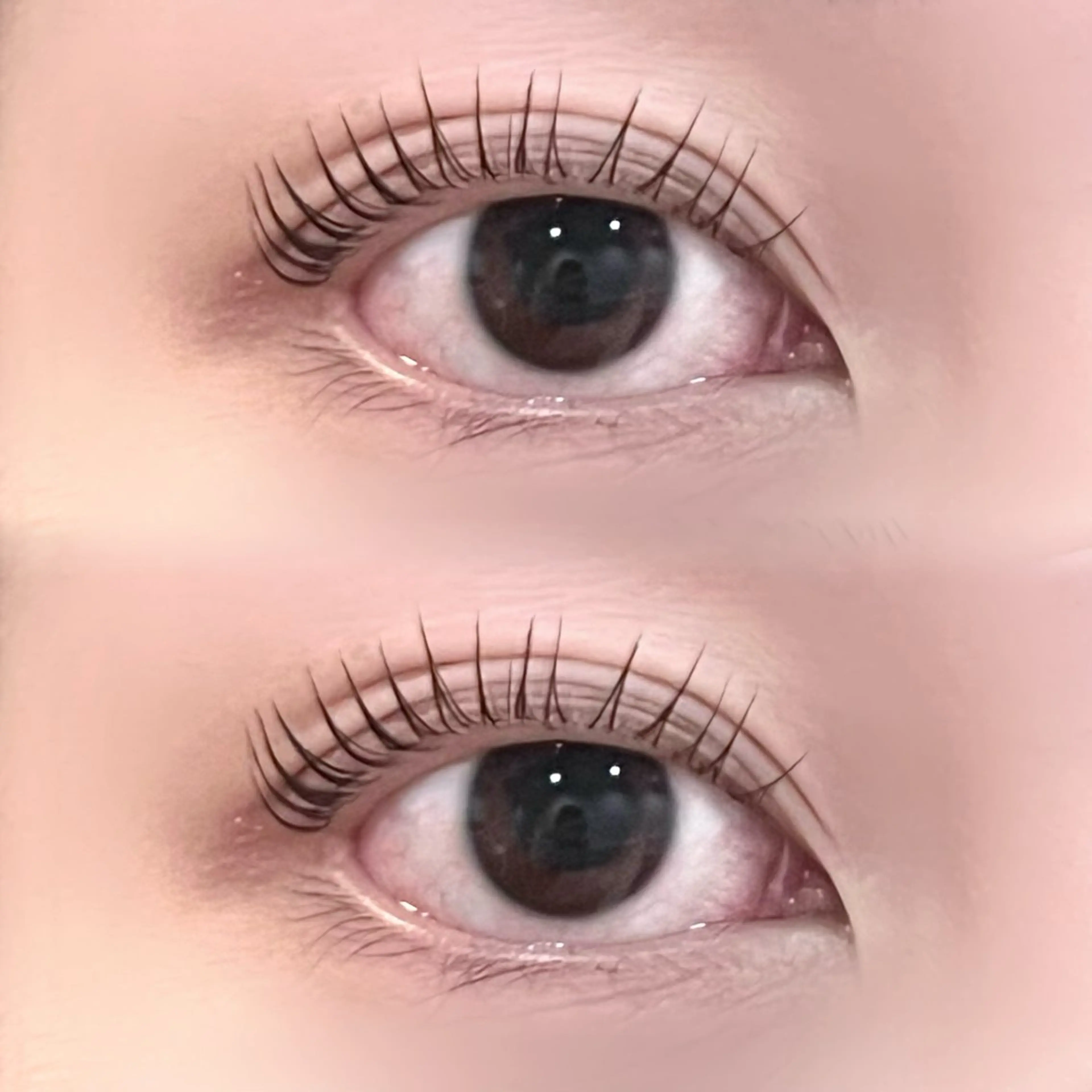 マツエク・マツパ パリジェンヌラッシュリフト マツパ ＊OLIVIA池袋 ＊長友のマツエク・マツパデザイン