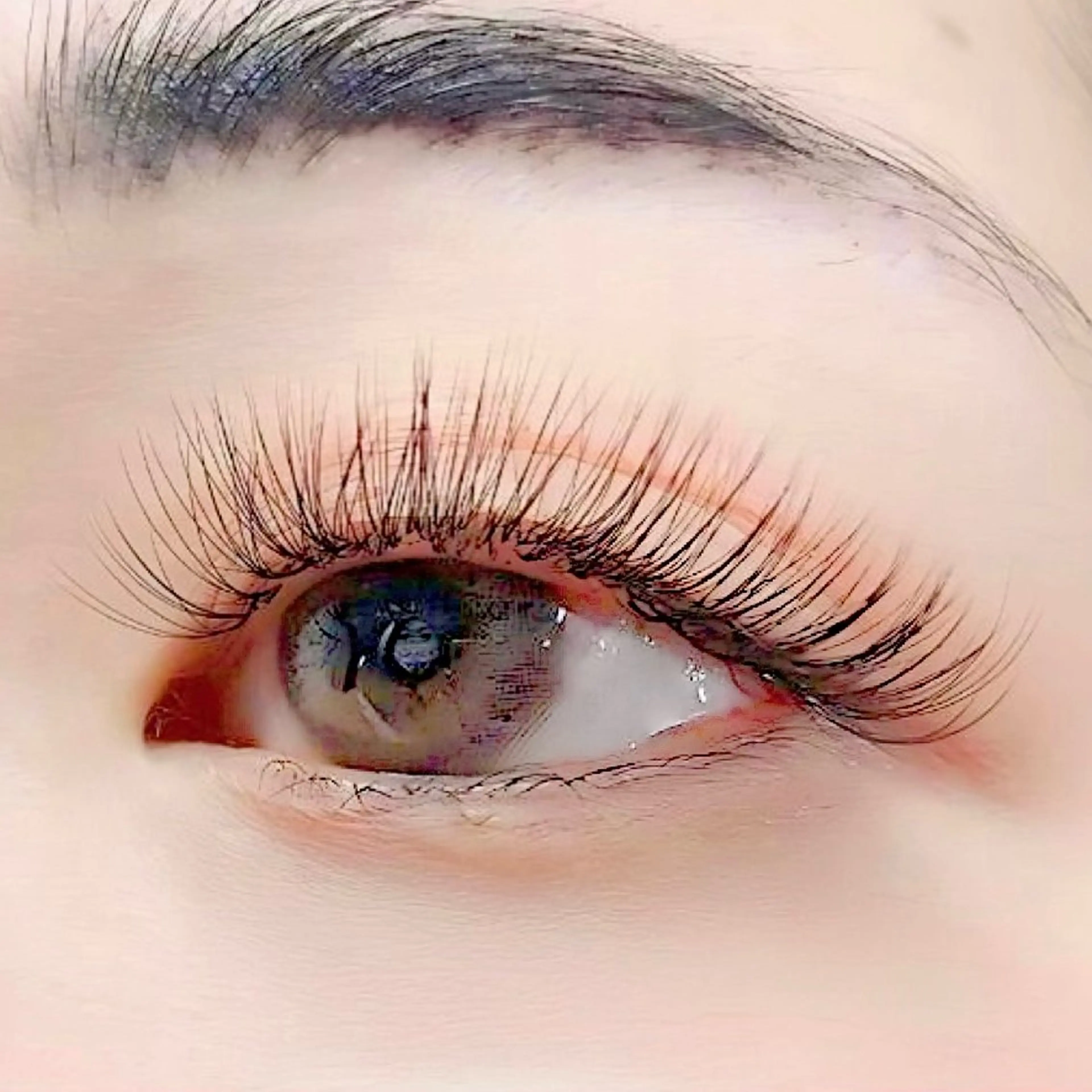 マツエク・マツパ マツエク まつ毛・眉/ 練習＆モニター専用のマツエク・マツパデザイン