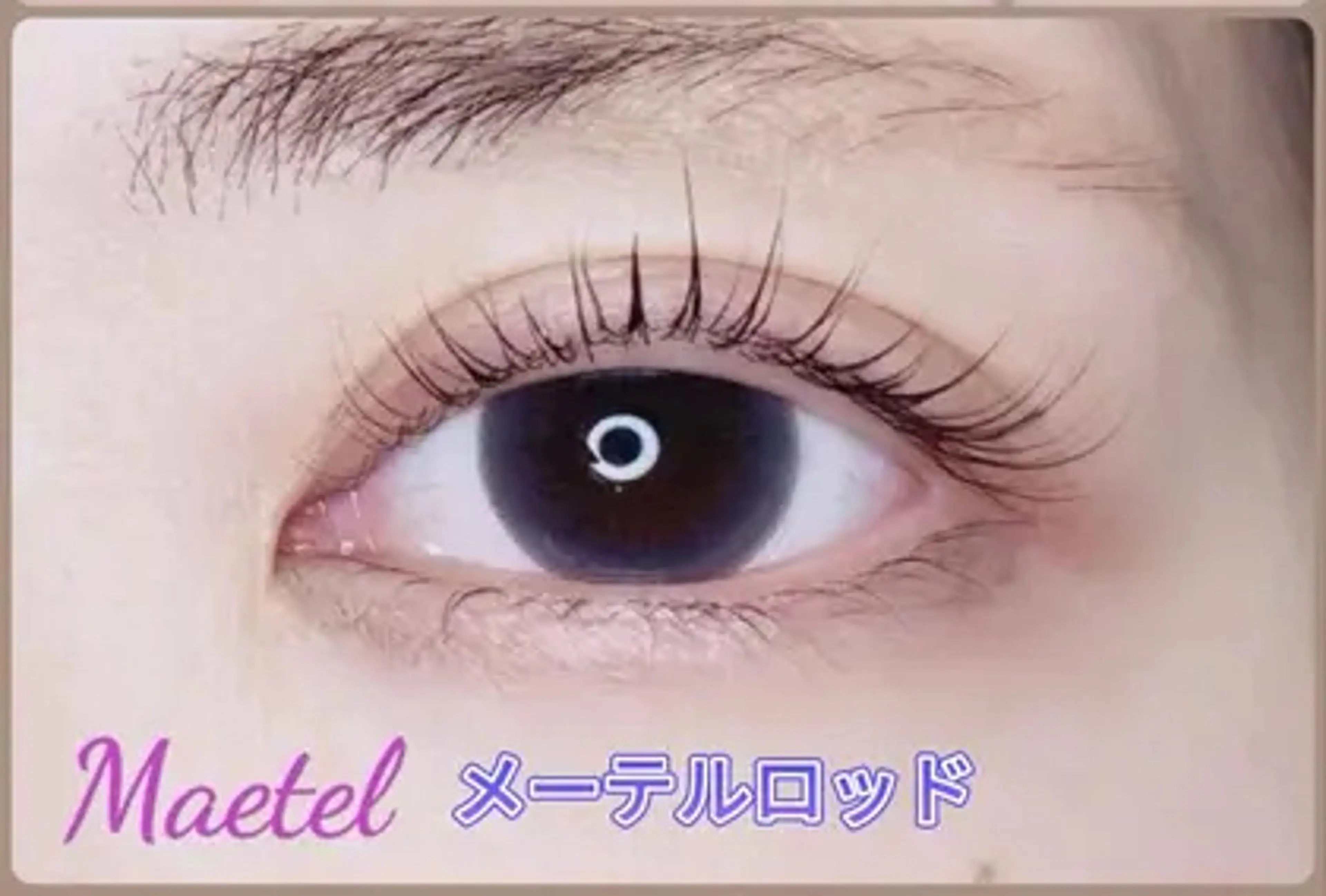 <学割U24>【まつげパーマ】  メーテルラッシュリフト『上』＋美容液仕上げ　3800円の写真