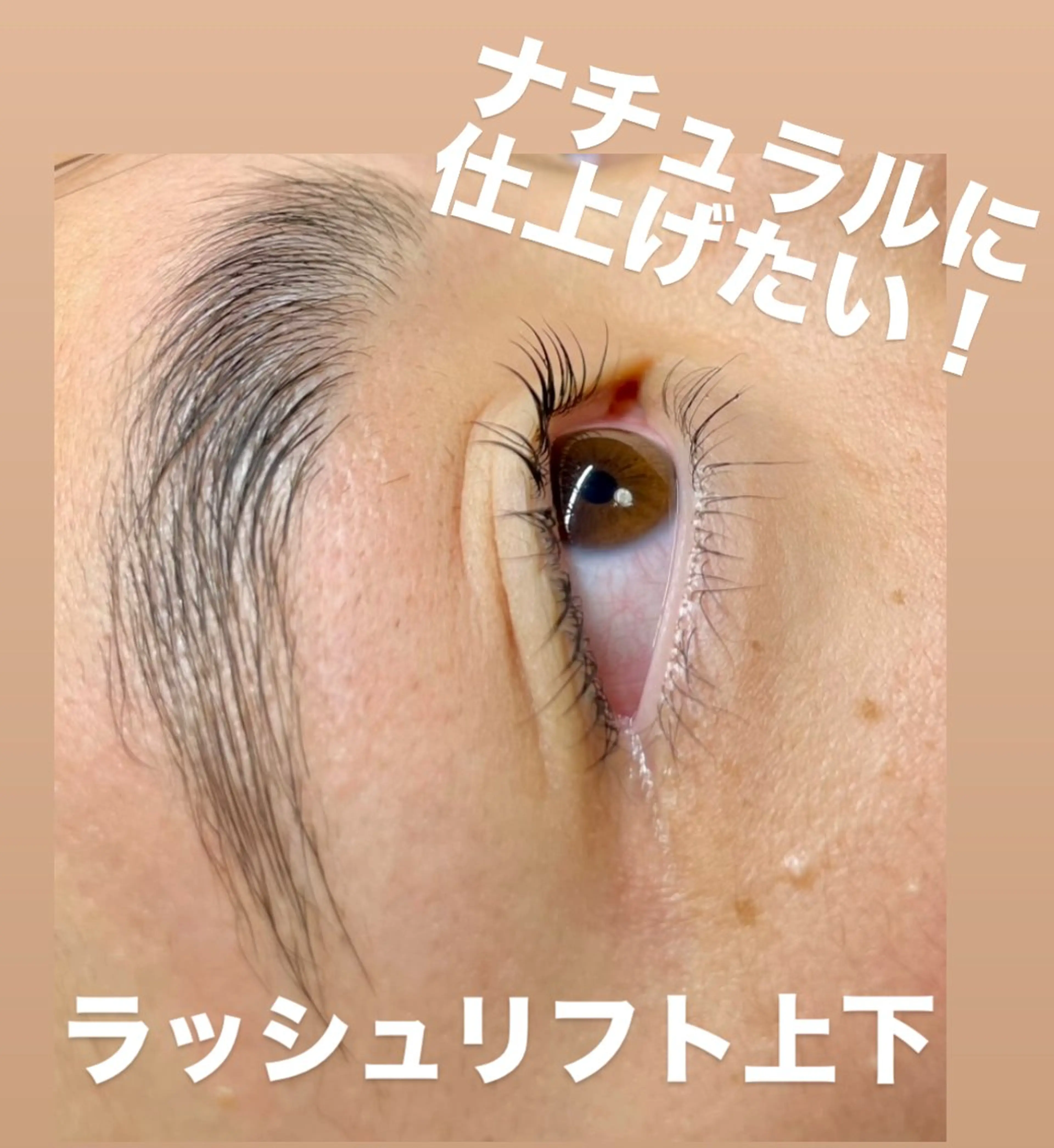 マツエク・マツパ Lｏｌｉ. ロリのマツエク・マツパデザイン