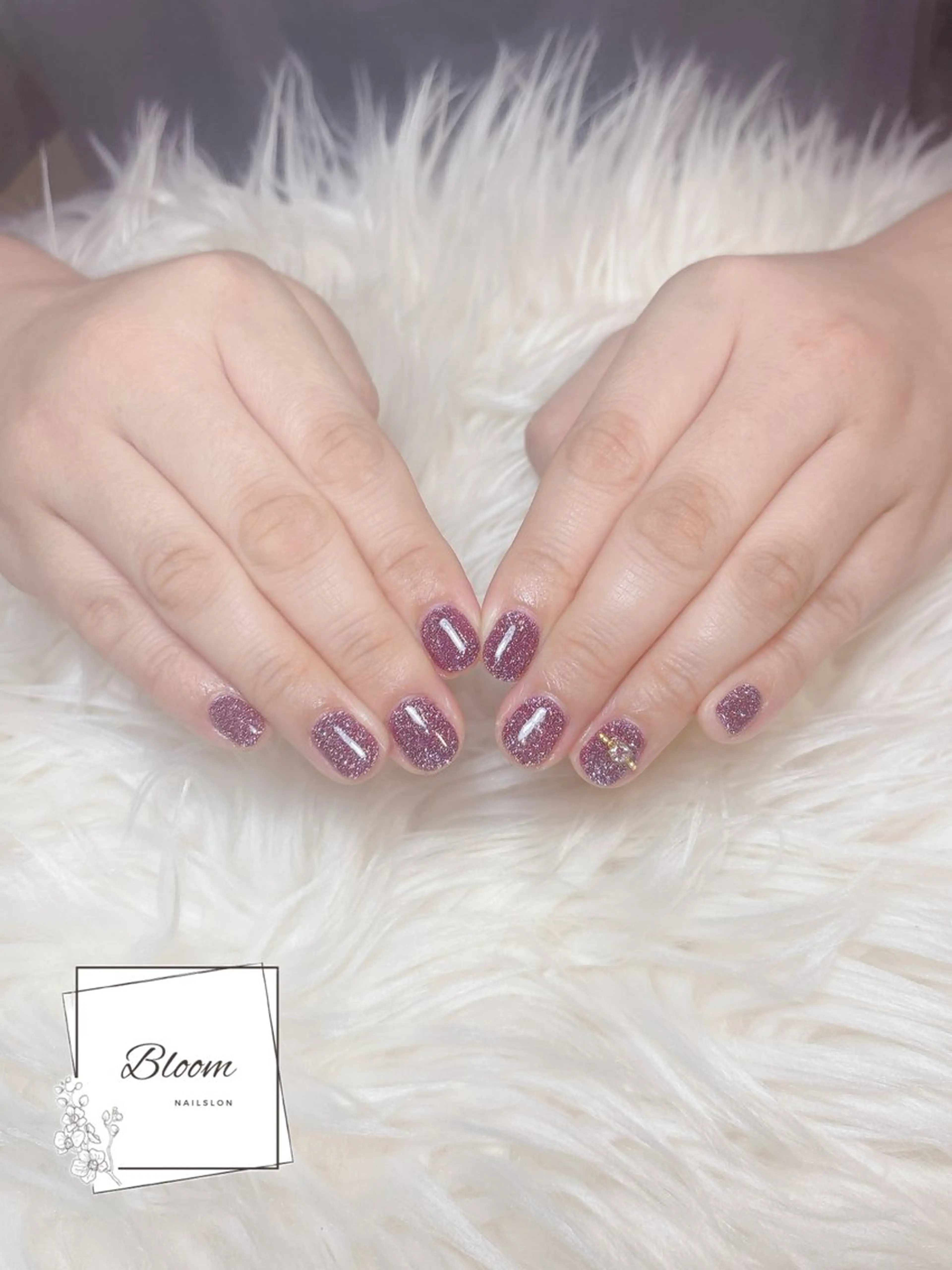 フラッシュワンカラーの写真