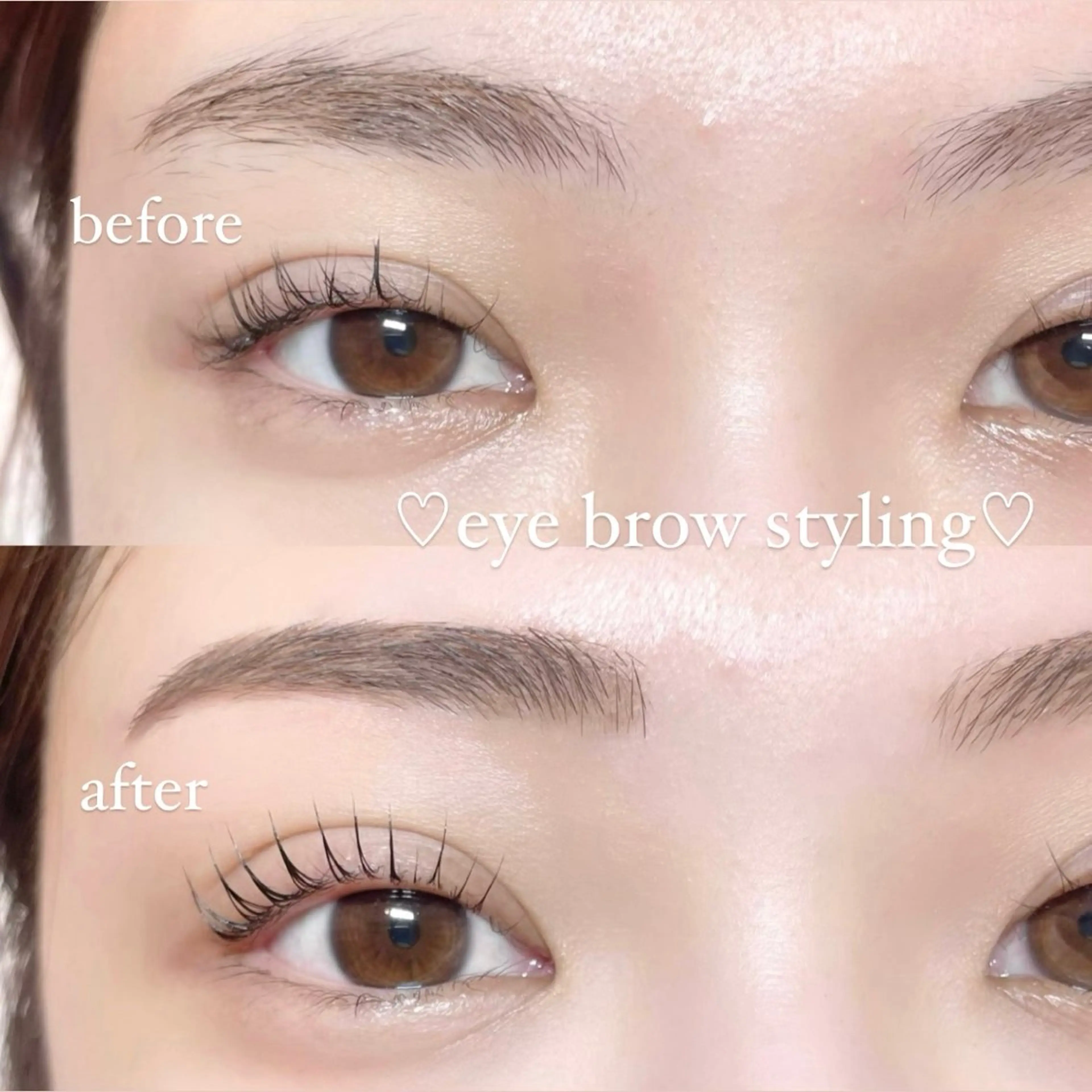 🫧アイブロウスタイリング🫧(Wax +カット+毛抜き)の写真