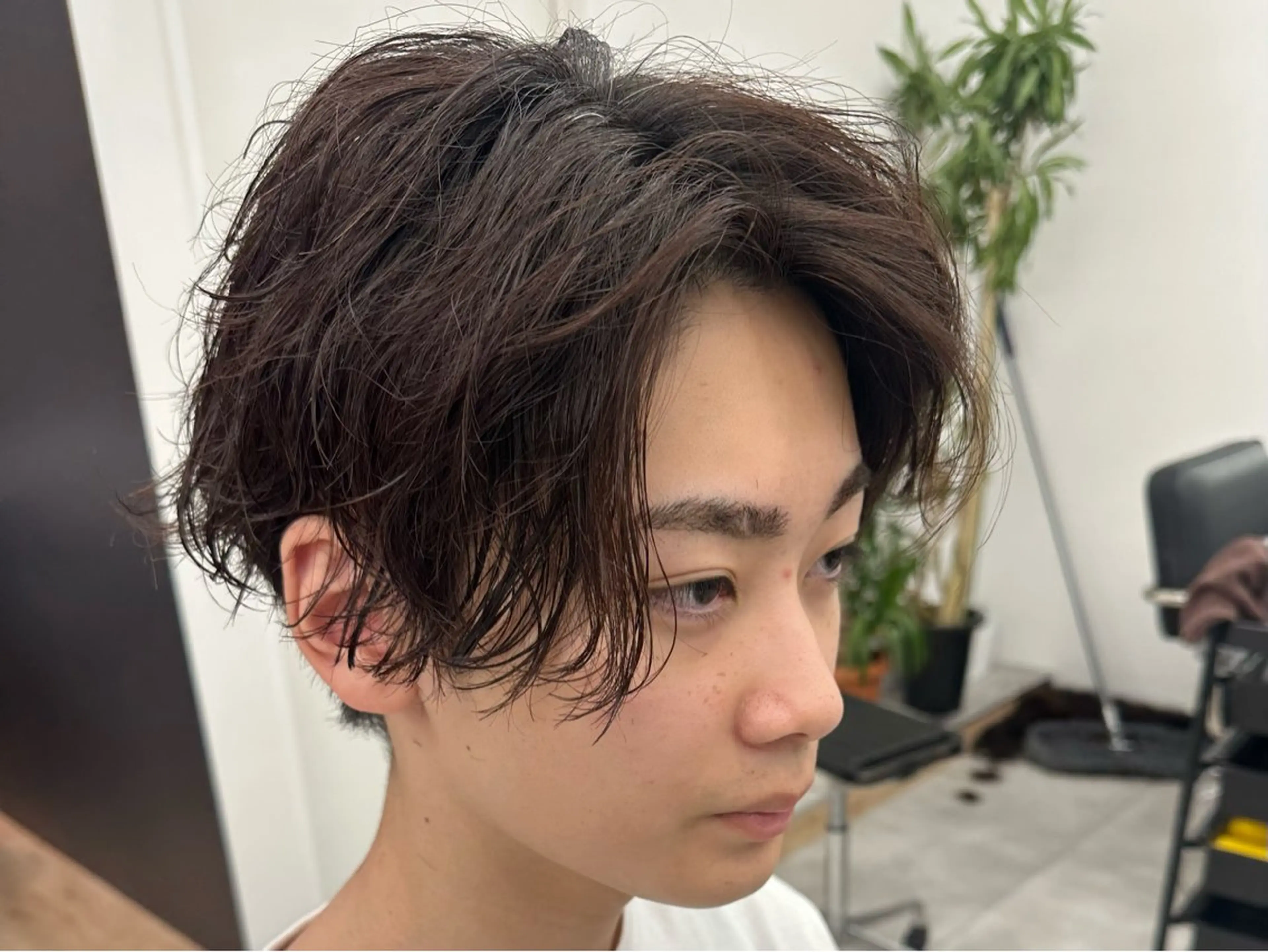 メンズ メンズパーマ/波巻き 桜井凌平のヘアスタイル