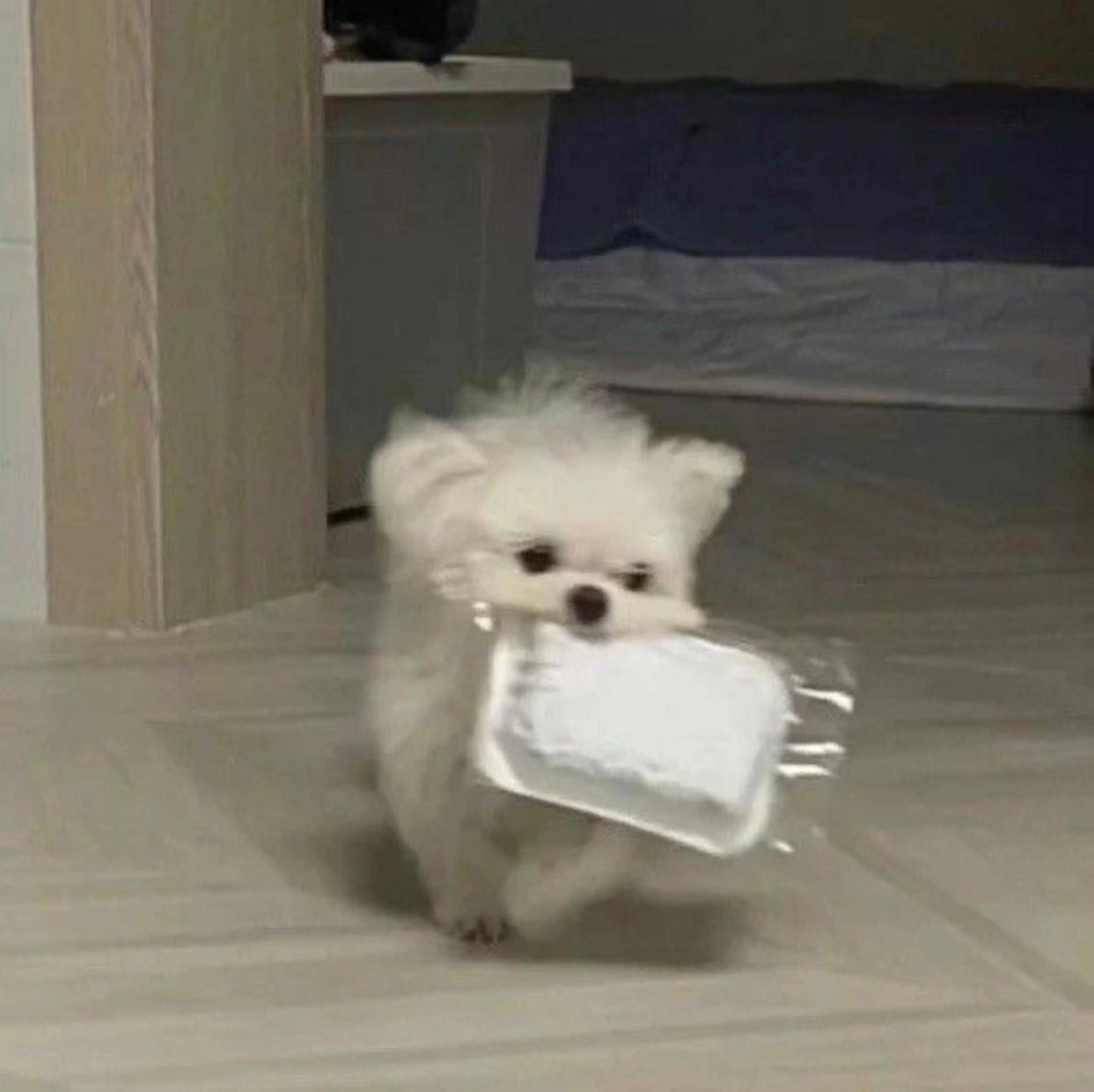 ∴Sanae. ∴ トータルビューティーのマツエク・マツパデザイン