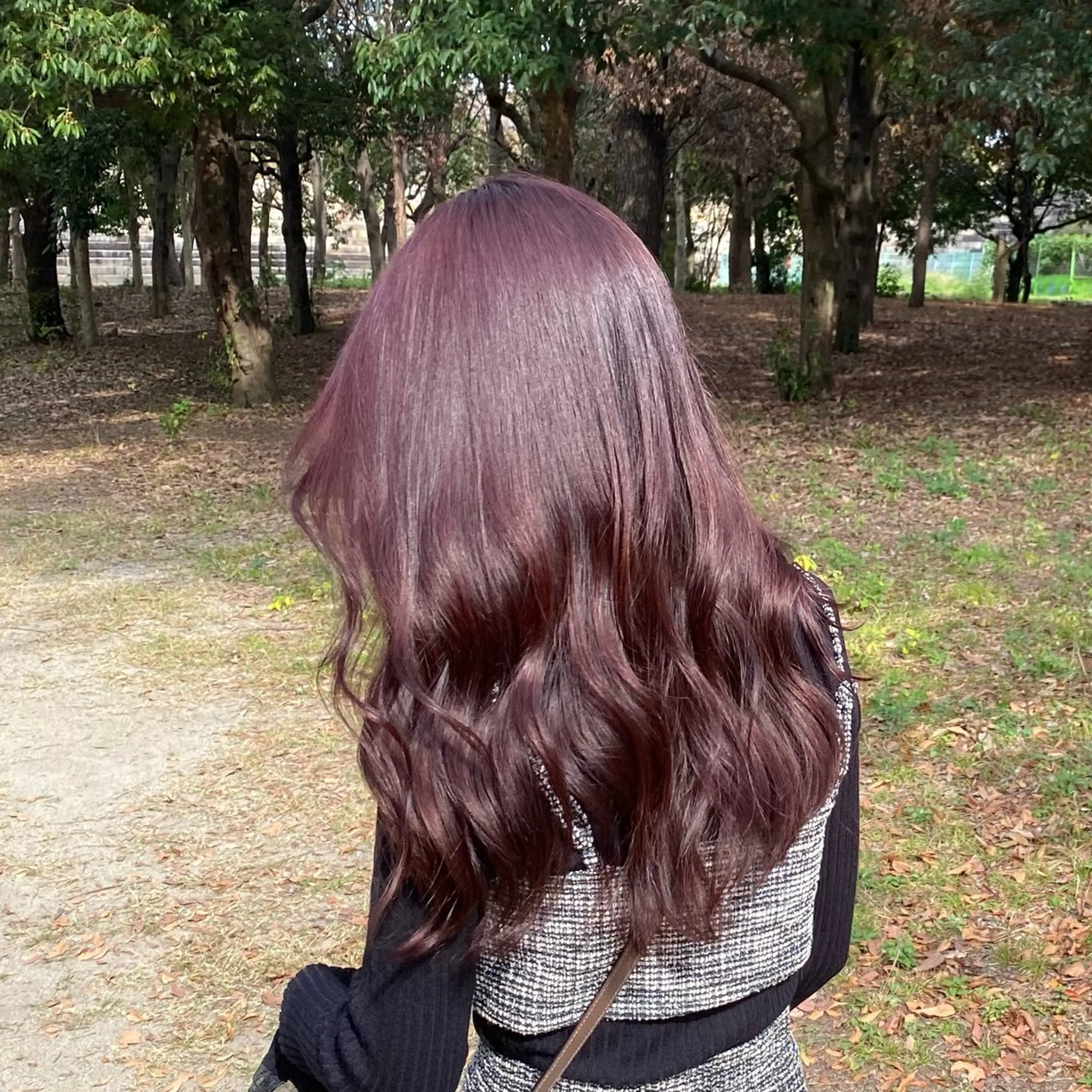 カラー カット ヘアカラー トリートメント エクステモデル募集 💗大阪梅田/川上のヘアスタイル