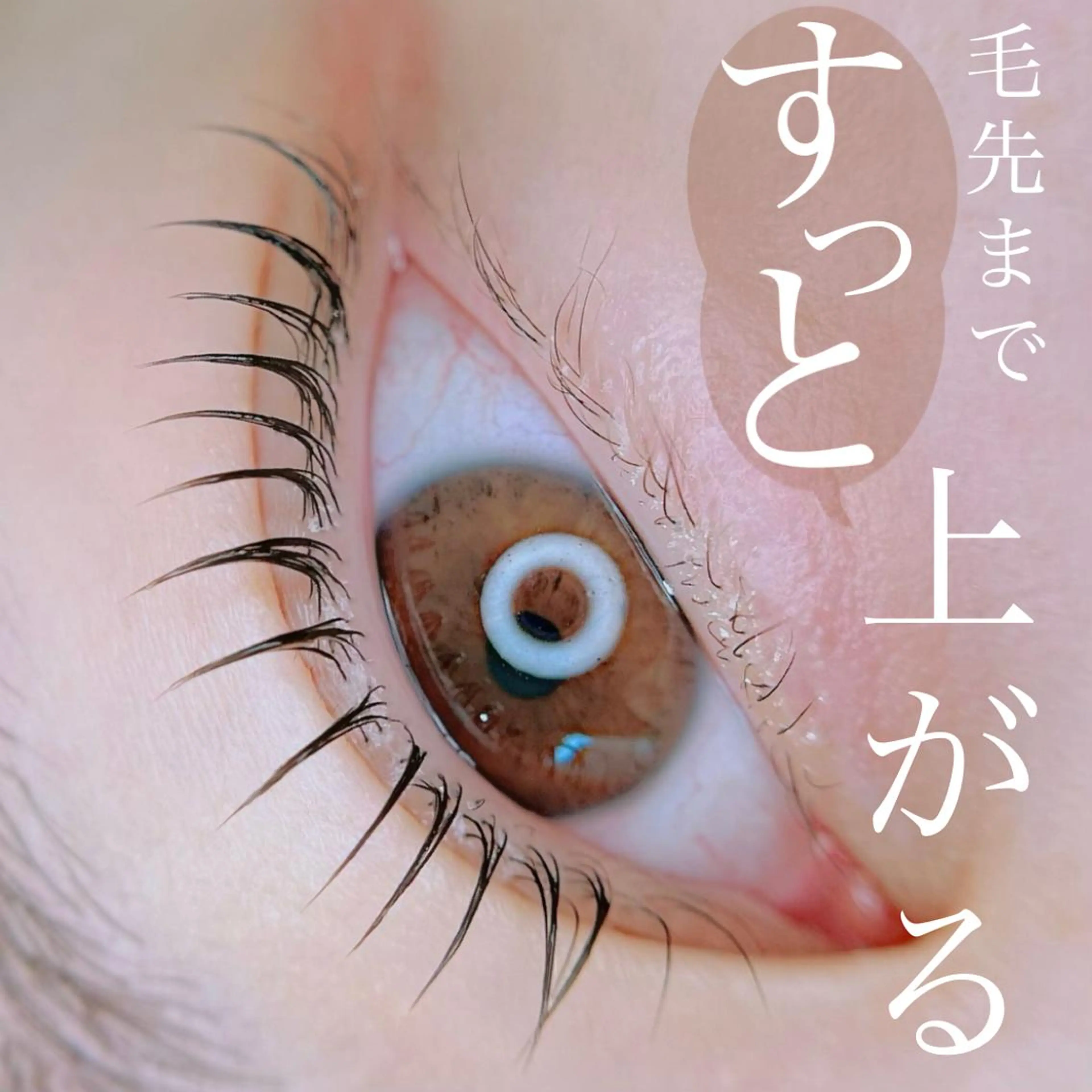 マツエク・マツパ マツパ 岡田 萌々香のマツエク・マツパデザイン