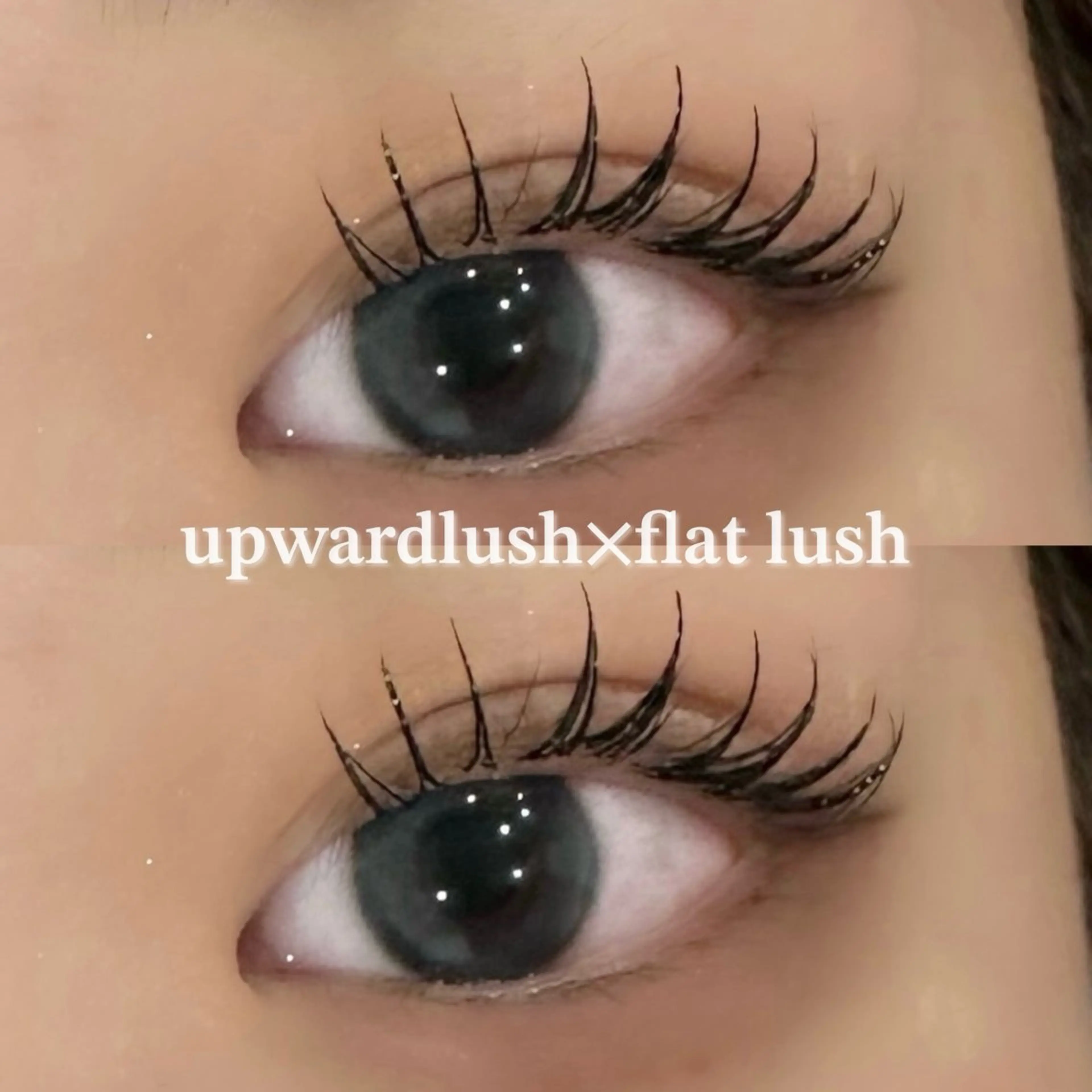 マツエク・マツパ アップワードラッシュ マツエク EYELA uenoのマツエク・マツパデザイン