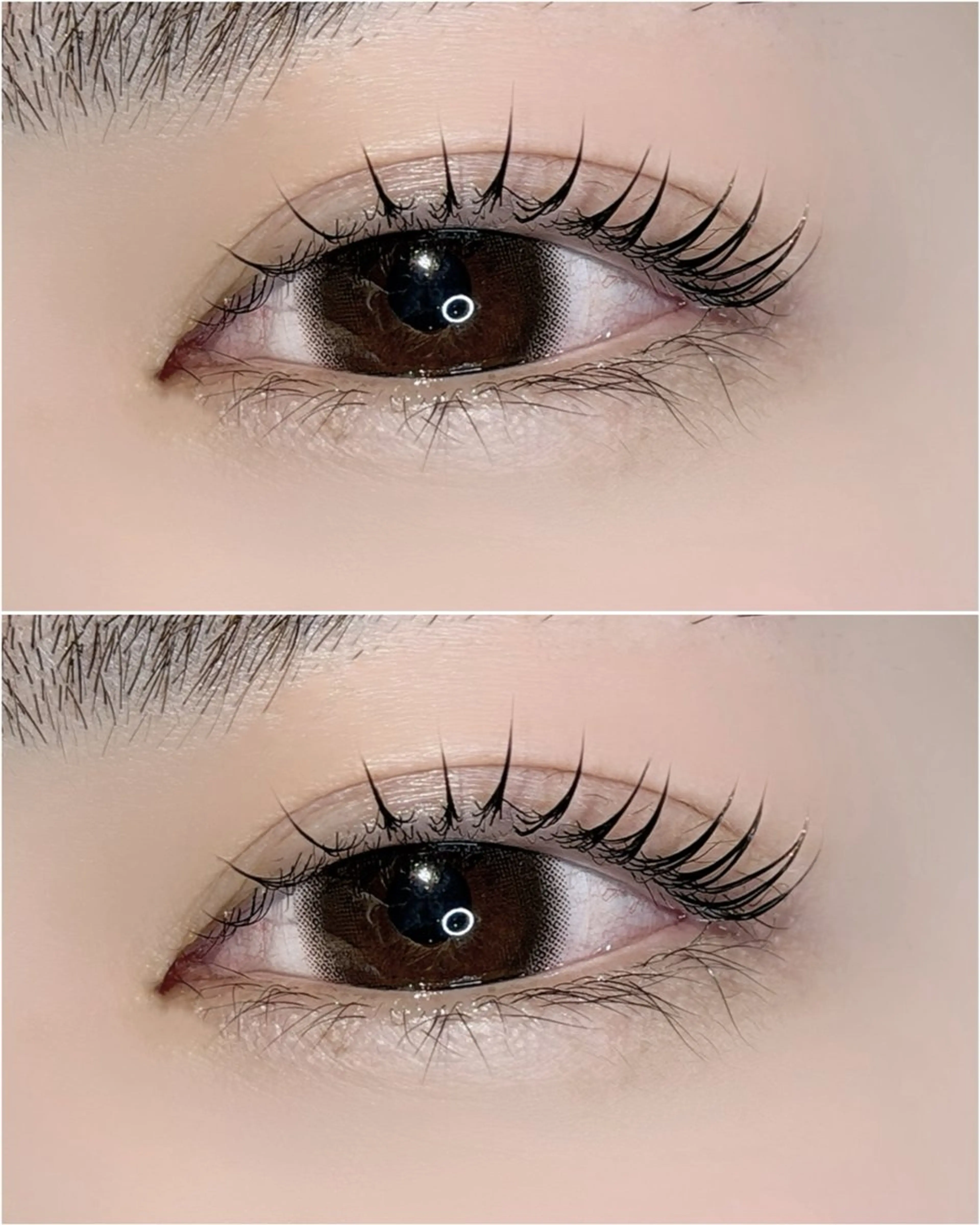 ラッシュリフト〈マツパ〉✨ 垢抜けEYEの写真