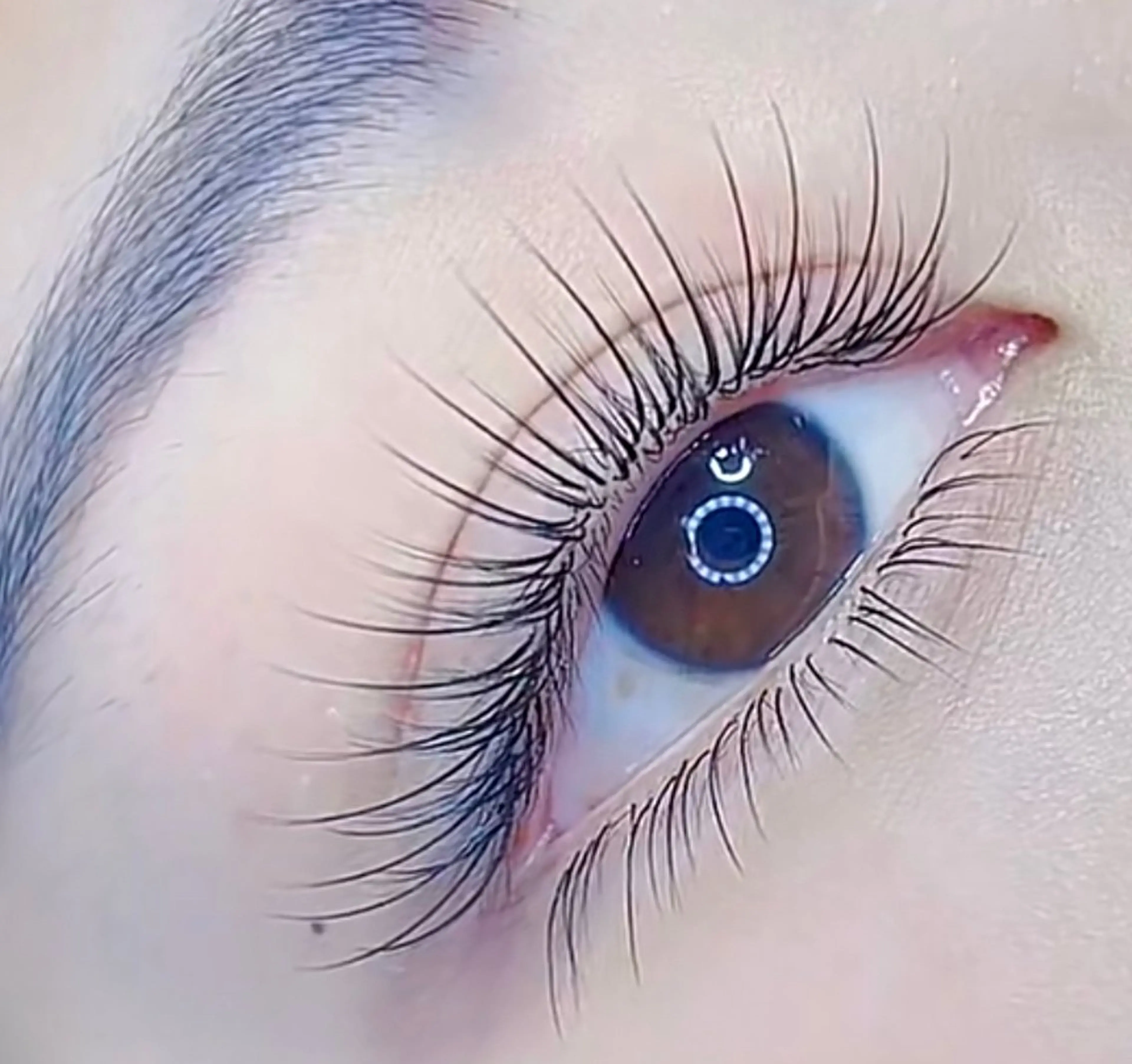 マツエク・マツパ Z TTまつげネイルのマツエク・マツパデザイン