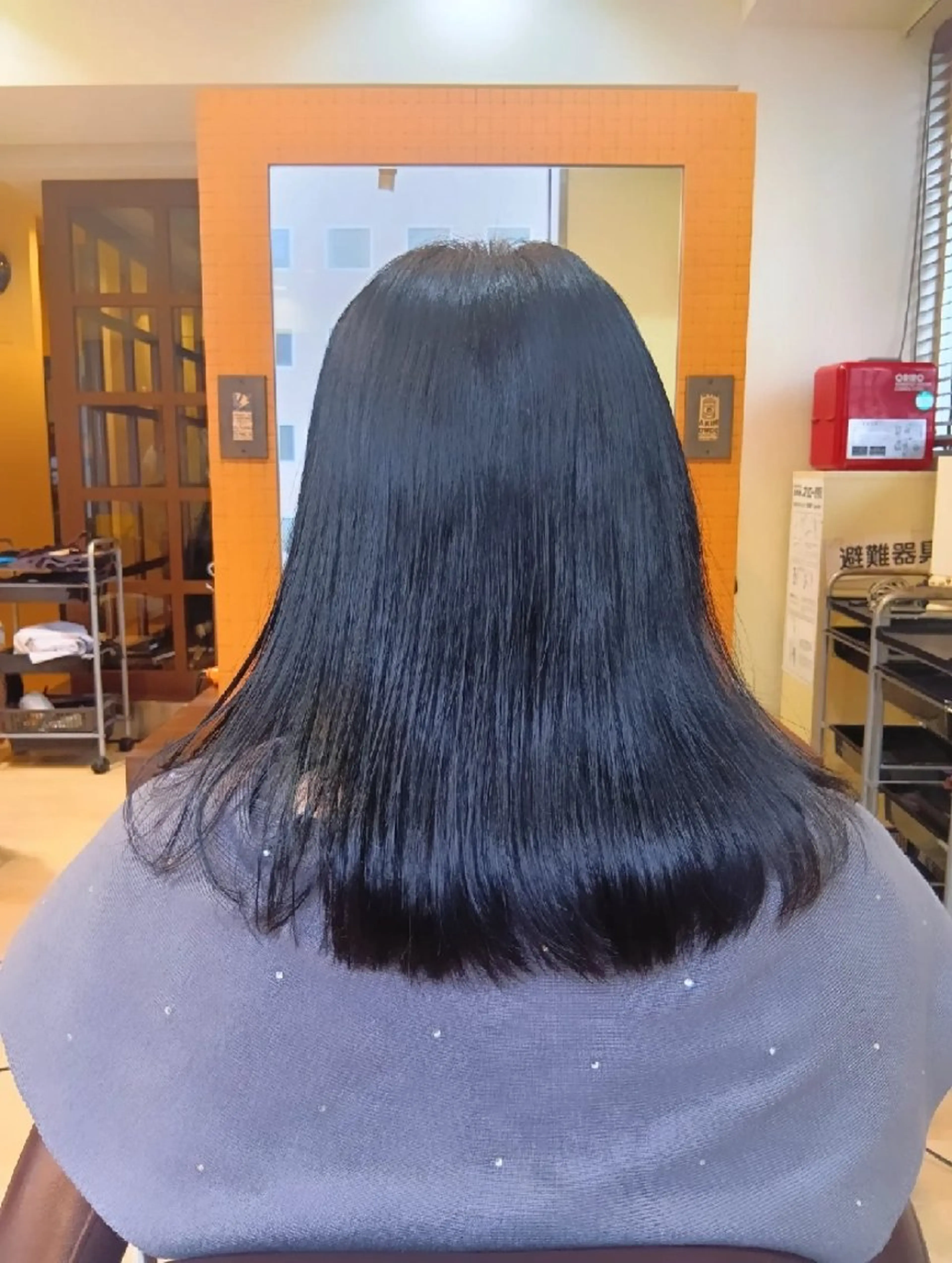 ミディアム カラー 黒髪 ブルーカラー ブルーブラック 透明感カラー カット ヘアカラー トリートメント 小林暢🌟Orque 髪質改善サロン🌙のヘアスタイル
