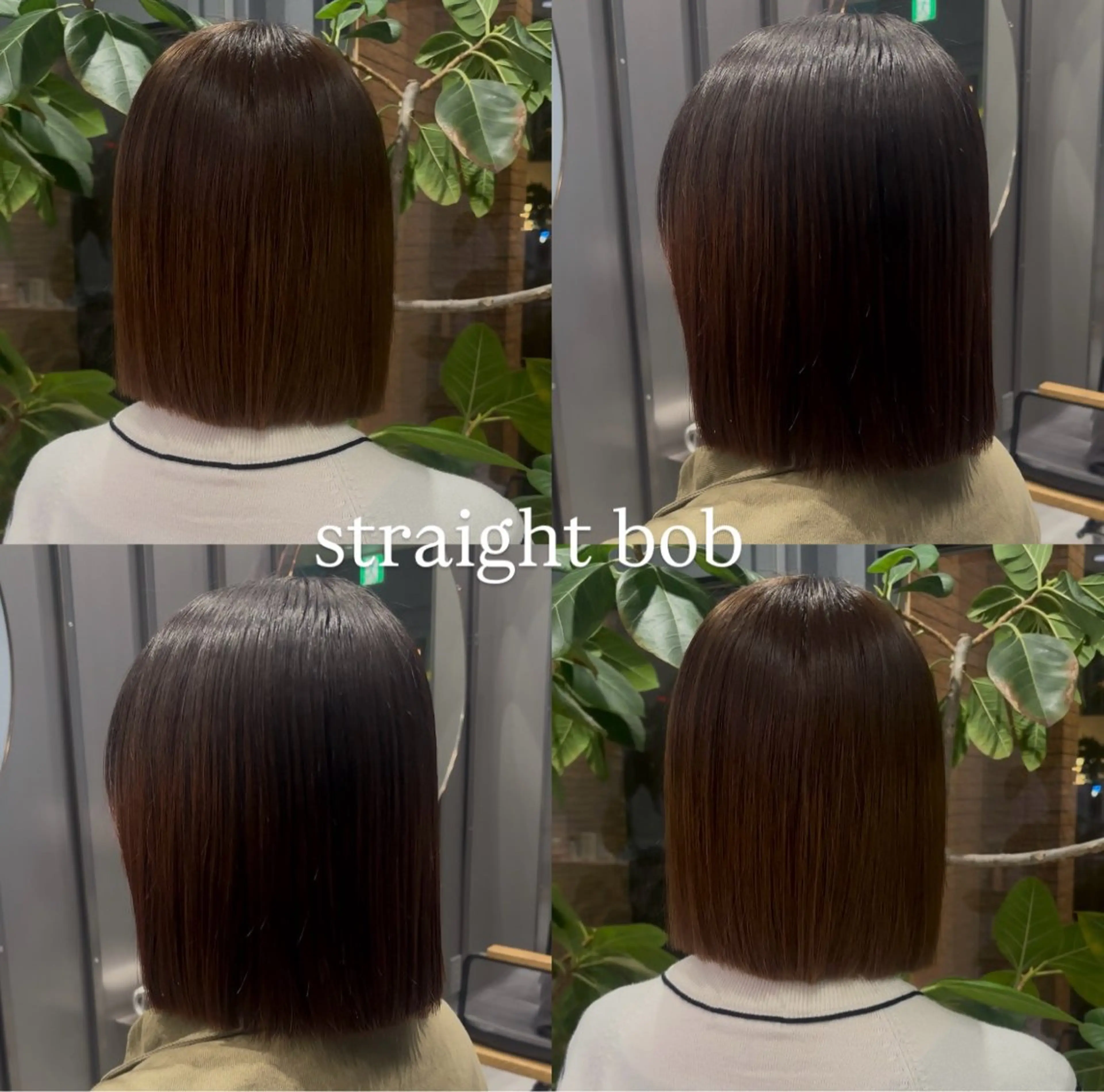 カット ヘアカラー トリートメント 🐈‍⬛JUMI /透明感カラー/🩶のヘアスタイル