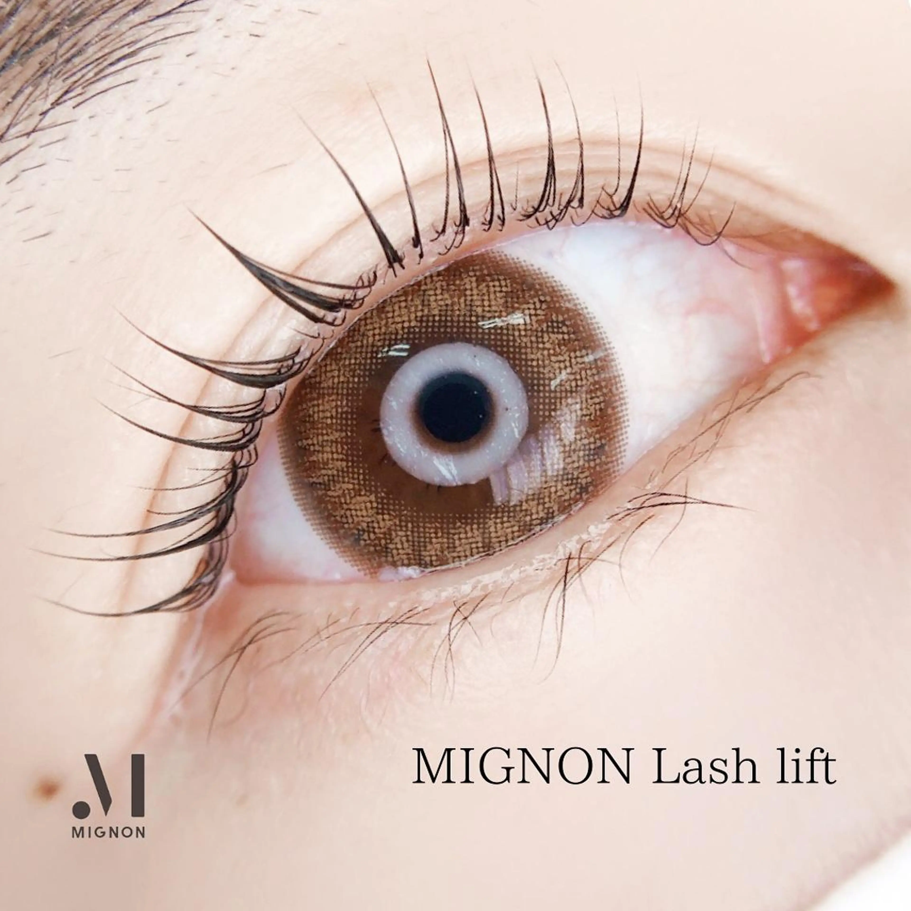 マツエク・マツパ MIGNON 冨田　当日予約のみのマツエク・マツパデザイン