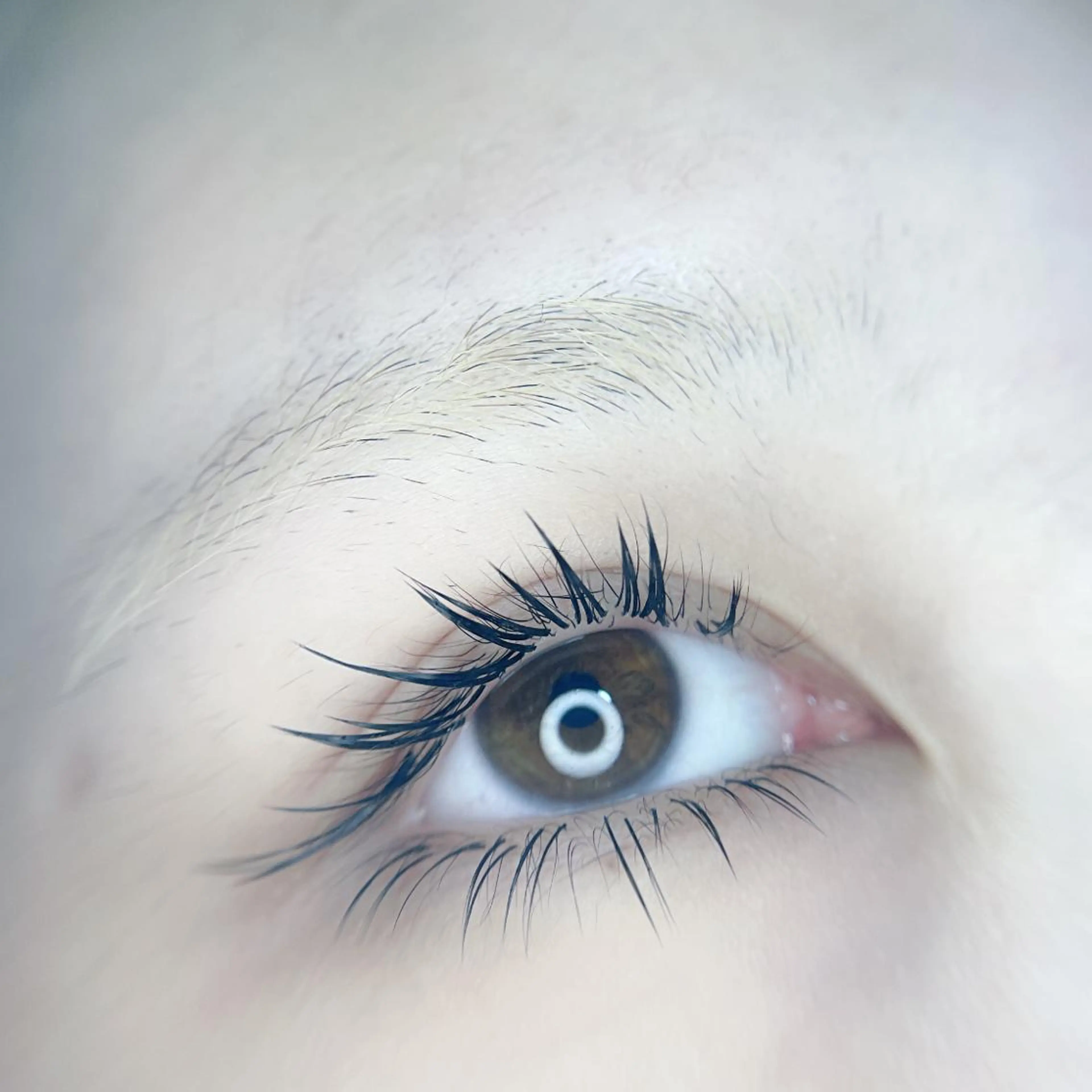 マツエク・マツパ foisalon 大久保店のマツエク・マツパデザイン