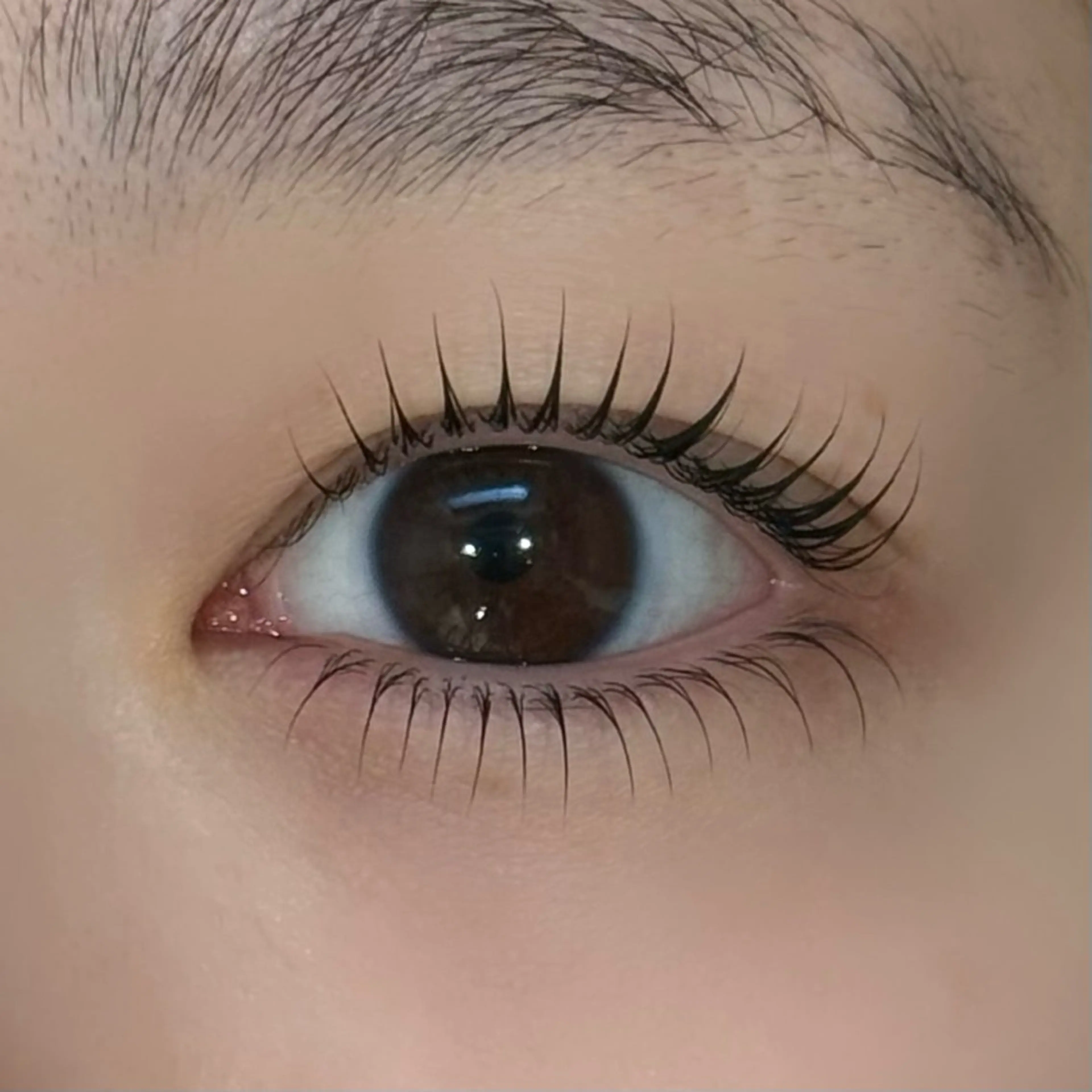 🫧まつ毛パーマ(上下)🫧の写真