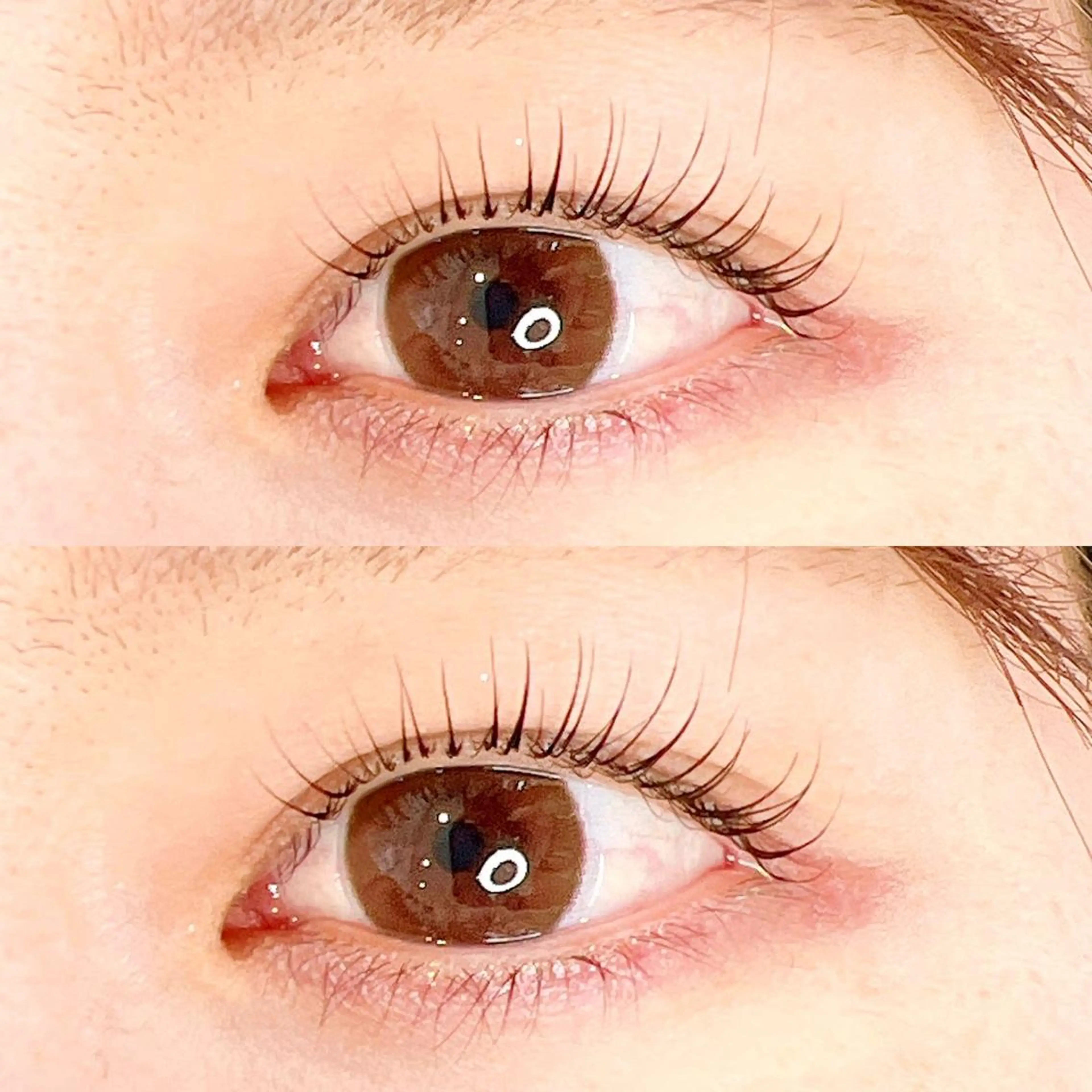 マツエク・マツパ マツパ ecru. eyelashのマツエク・マツパデザイン