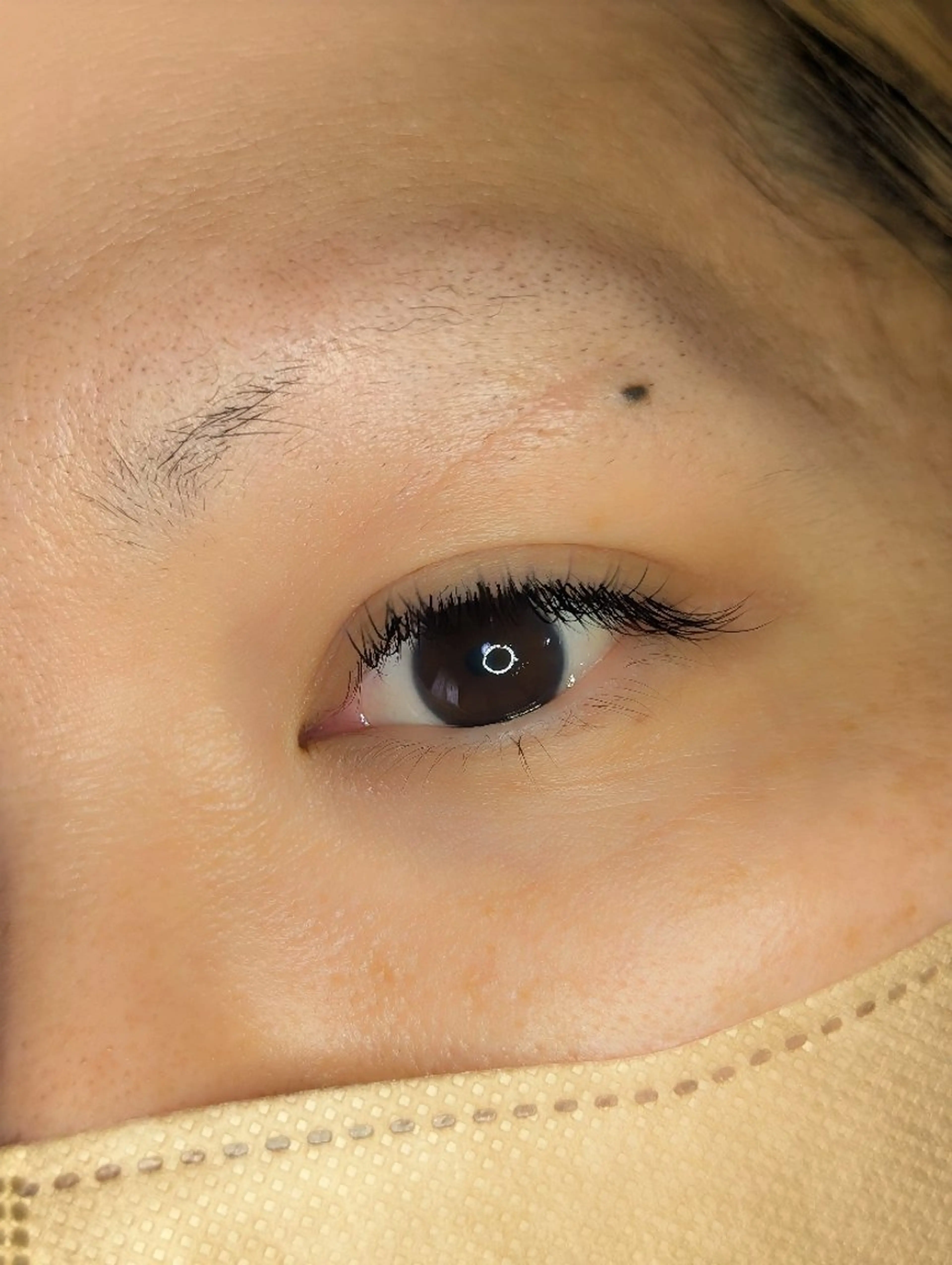 マツエク・マツパ マツエク EYELASH lino　合志市のマツエク・マツパデザイン