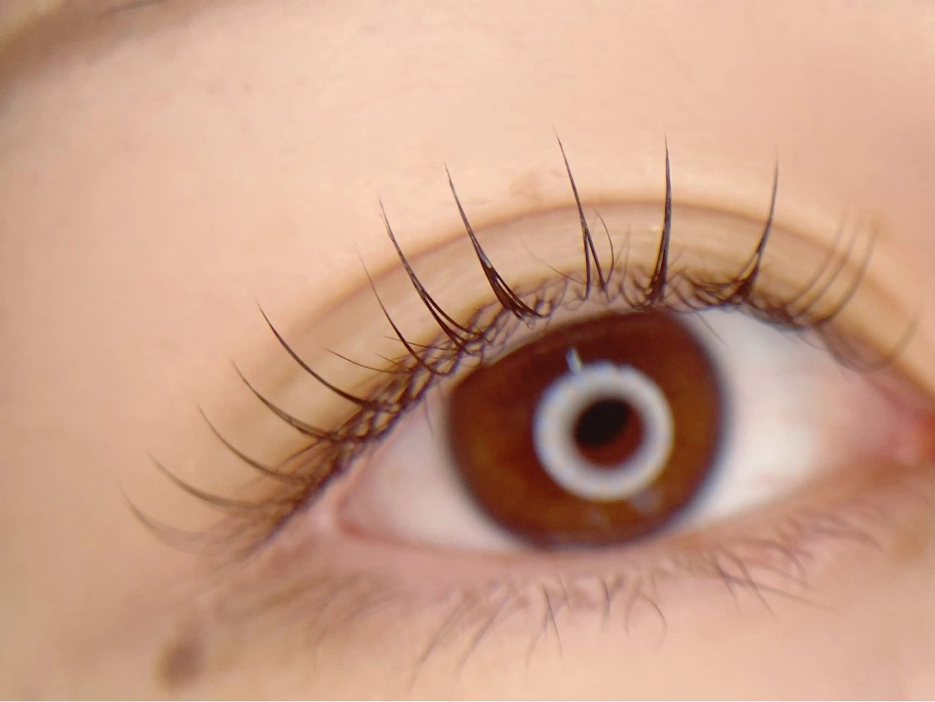 マツエク・マツパ マツエク tomte トムテのマツエク・マツパデザイン