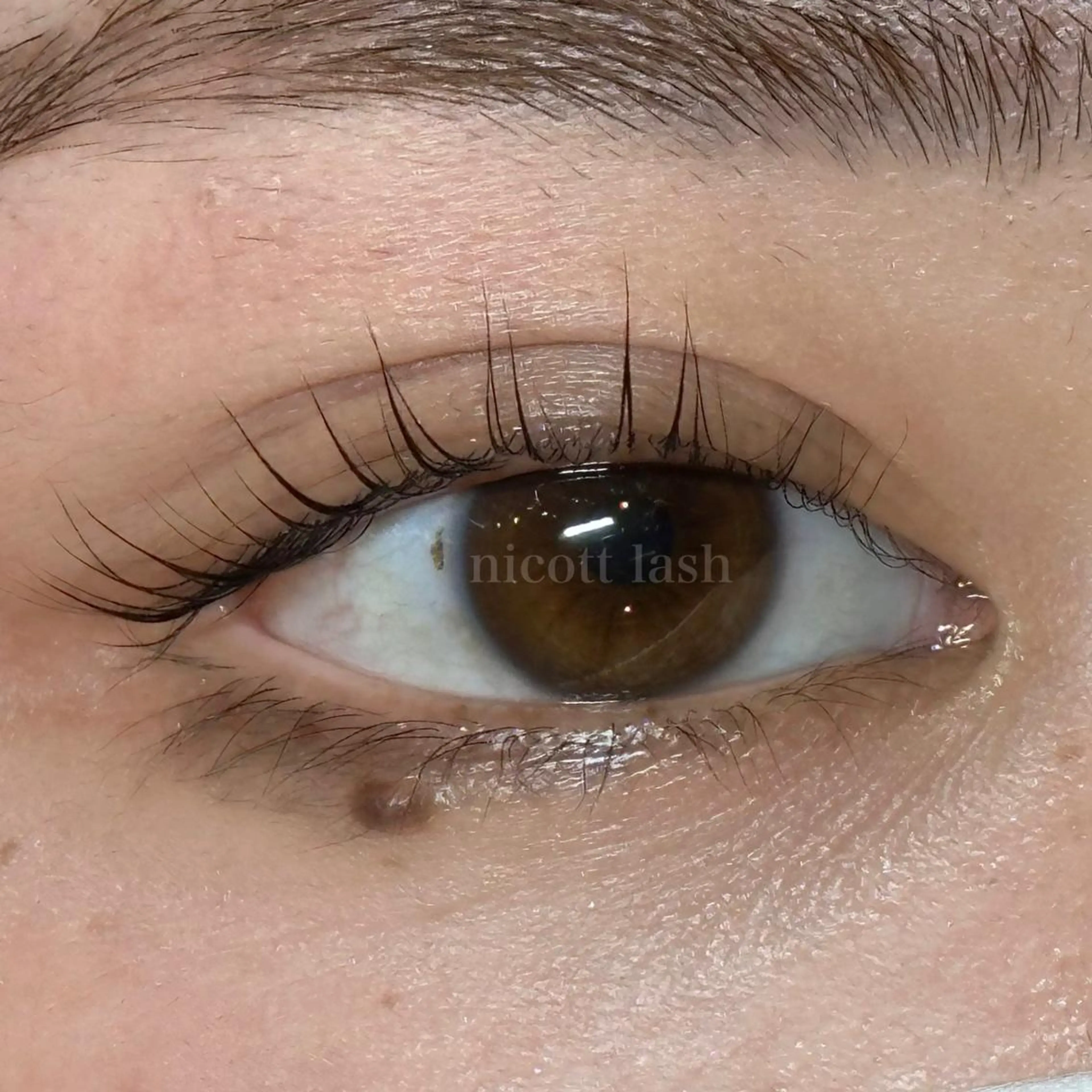 マツエク・マツパ nicott 篠田のマツエク・マツパデザイン