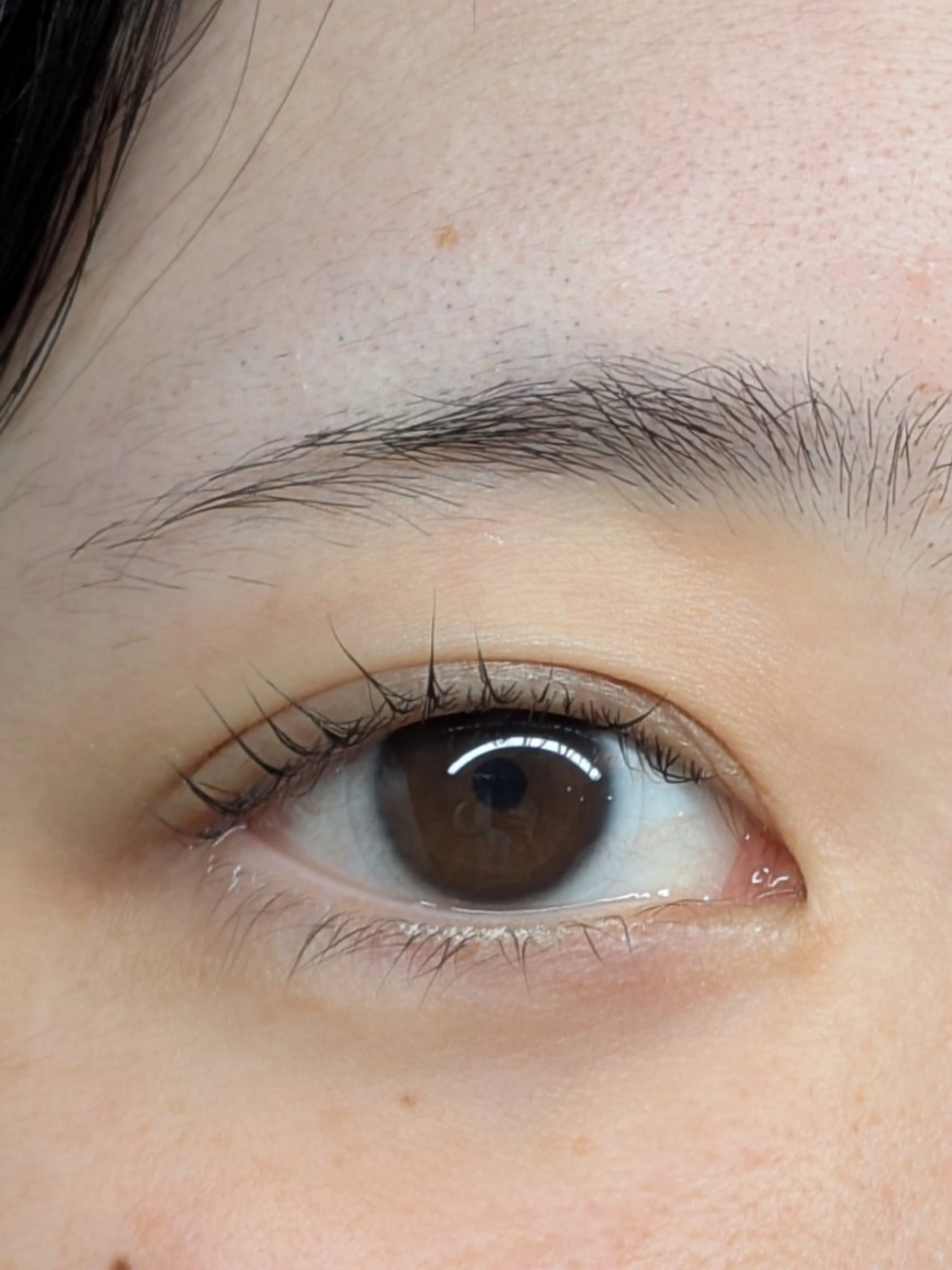 マツエク・マツパ パリジェンヌラッシュリフト まつげパーマ Sun Brown Ryu-gaのマツエク・マツパデザイン