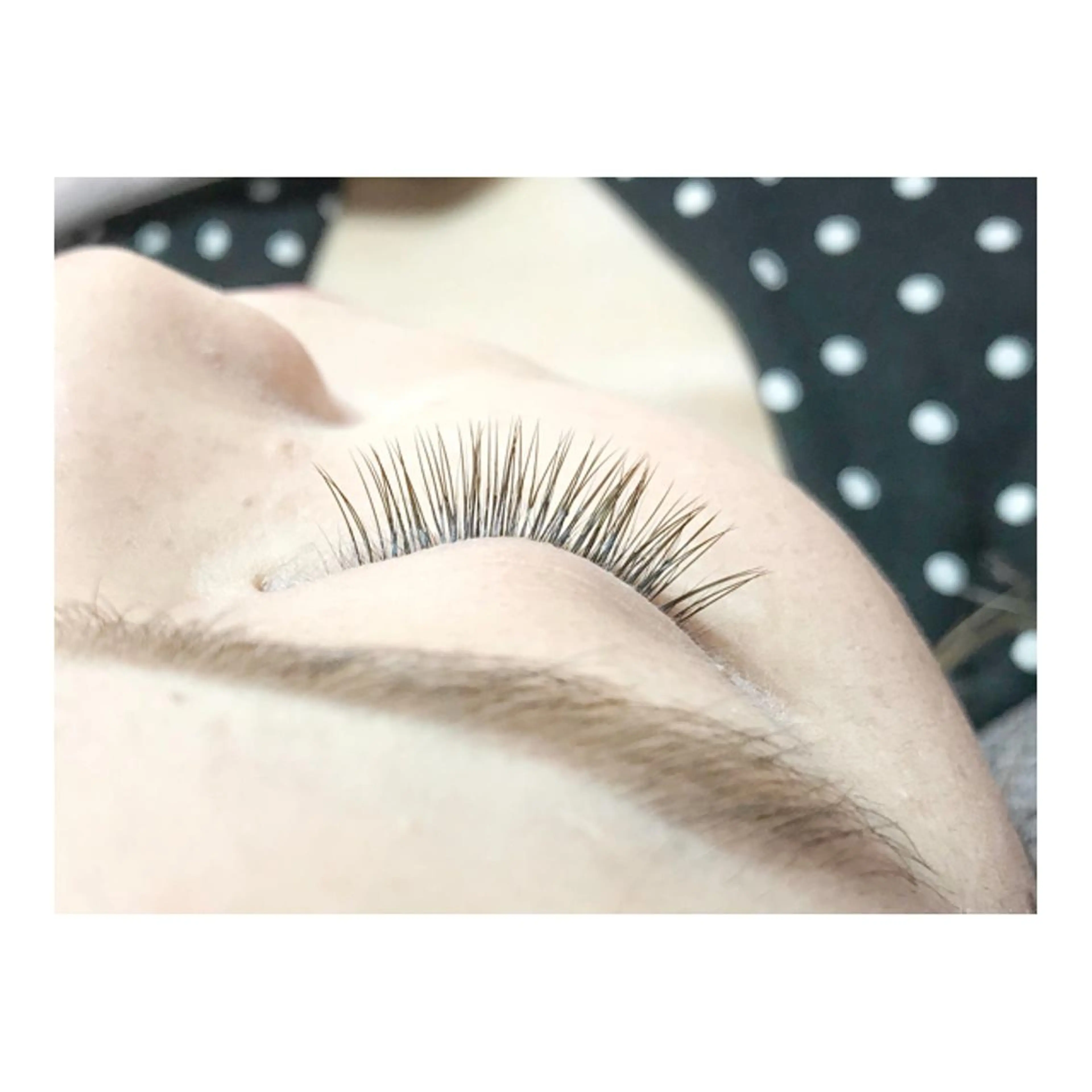 マツエク・マツパ 付け放題 ｍｉｐｐｙ 🪽のマツエク・マツパデザイン