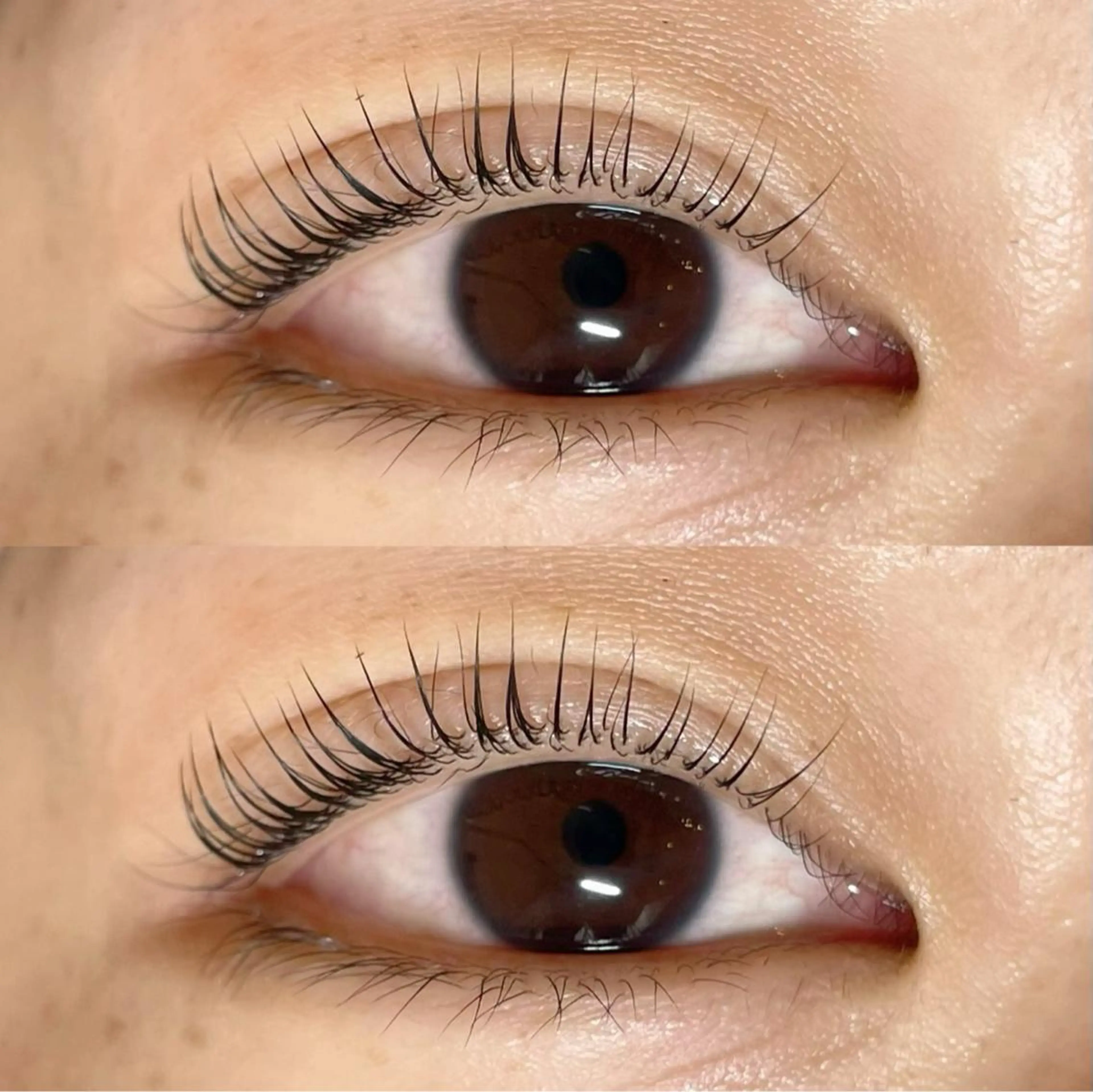 マツエク・マツパ パリジェンヌラッシュリフト 🎀Sakura- blow京橋🎀のマツエク・マツパデザイン