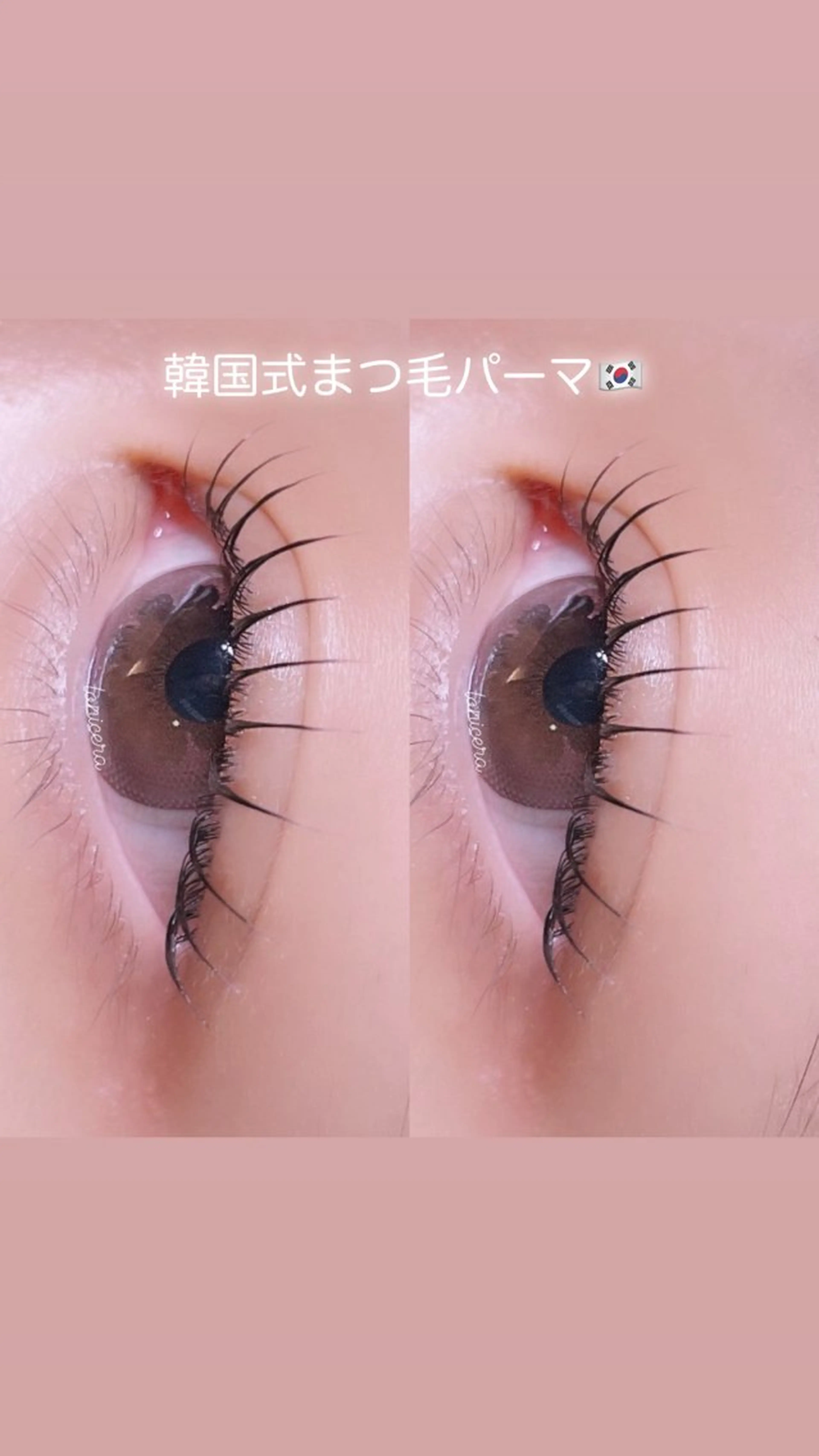 マツエク・マツパ 韓国風マツエク 一重×まつ毛パーマ ロニセラ アイラッシュのマツエク・マツパデザイン