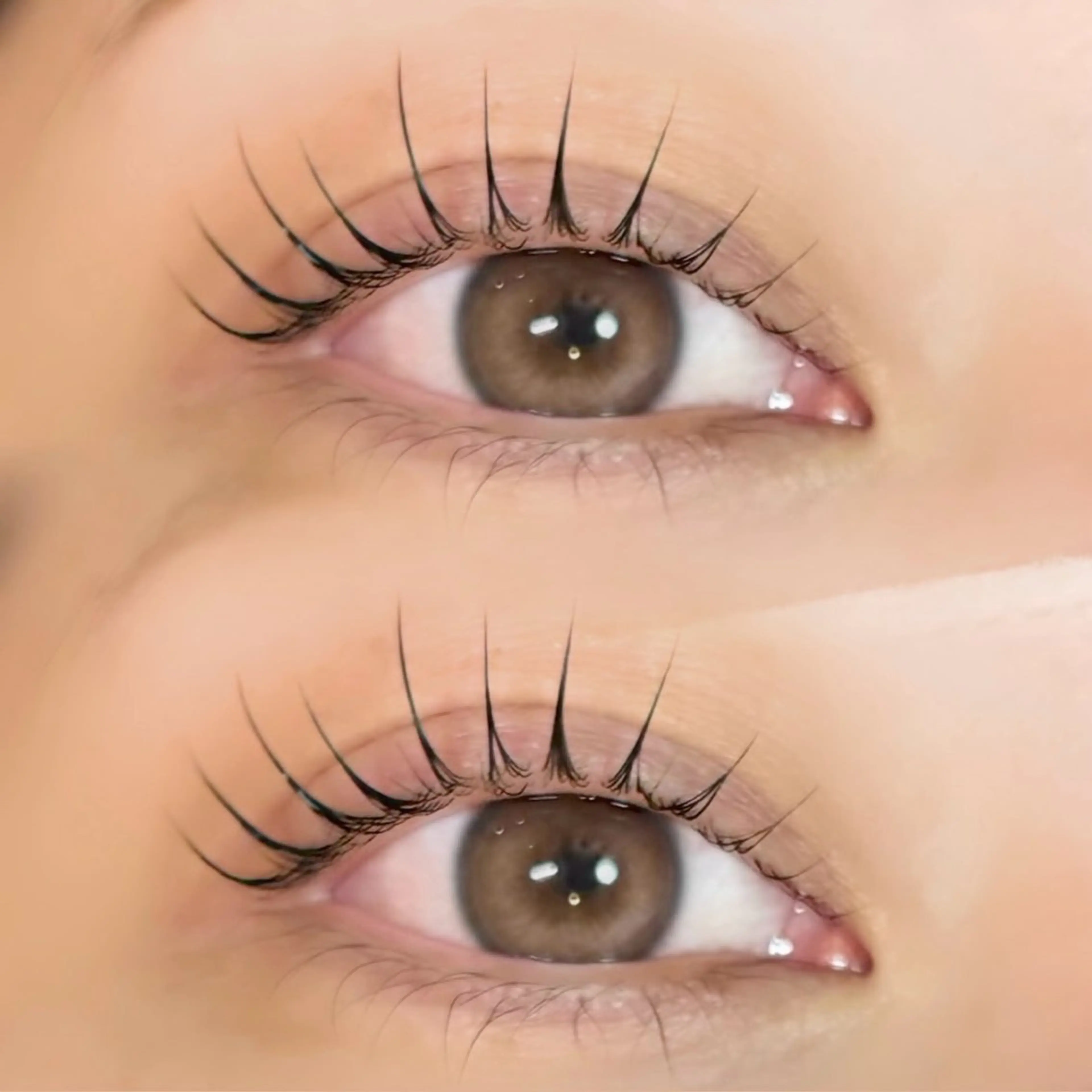 マツエク・マツパ パリジェンヌラッシュリフト マツパ 束感/LED/まつパ 🌼segawaのマツエク・マツパデザイン