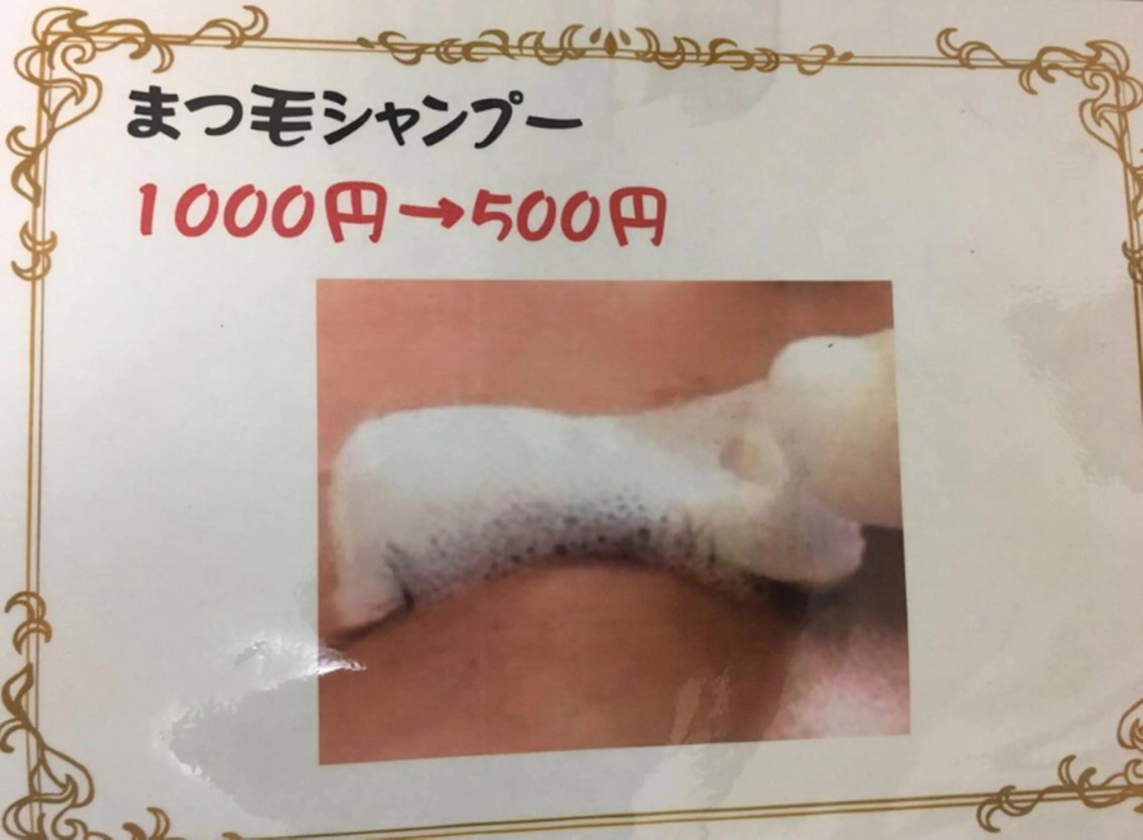 an room 前田久美子のマツエク・マツパデザイン