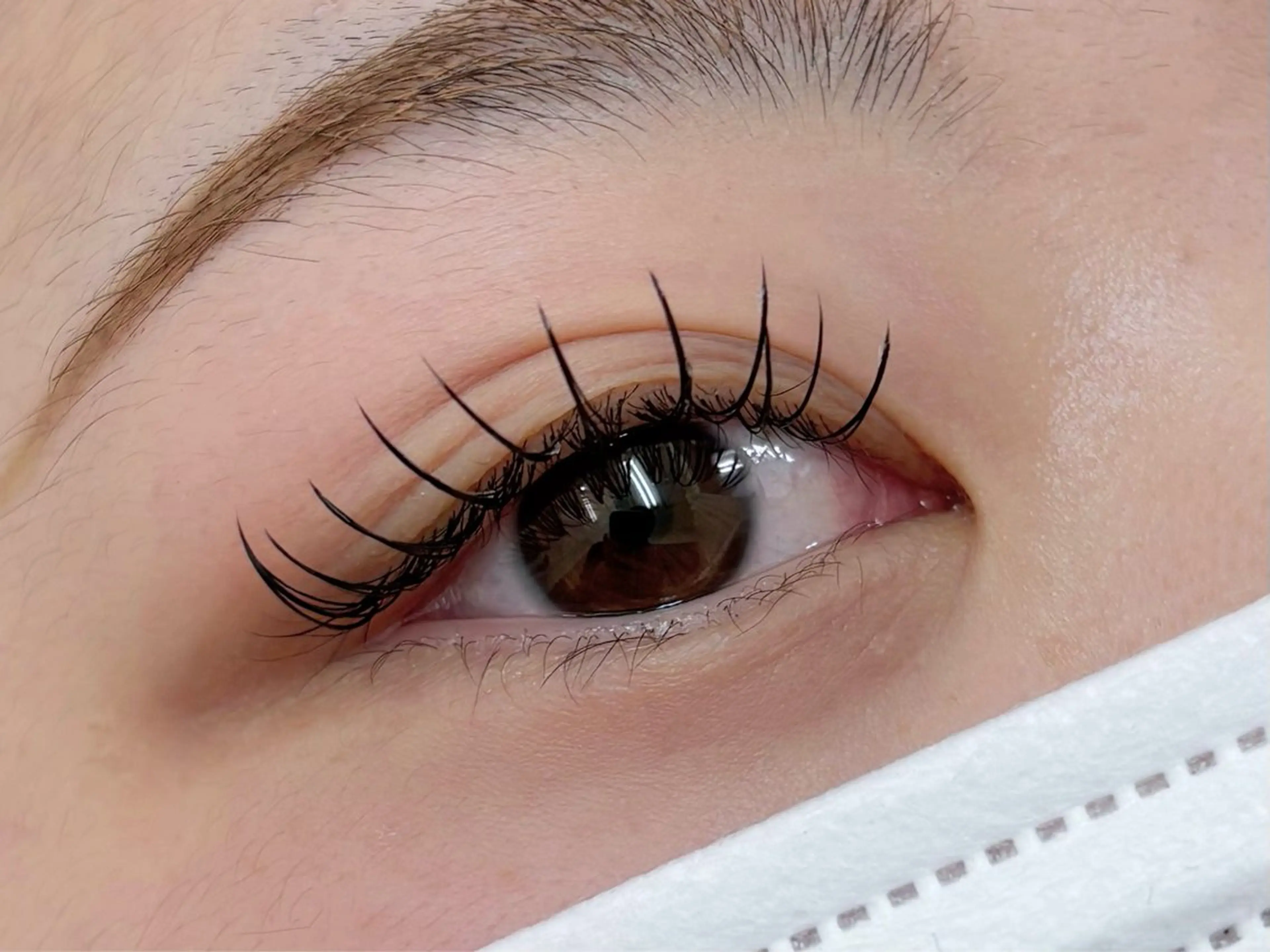 フラットラッシュ（上）120本オフ込み🐧コーティング付き🪄の写真