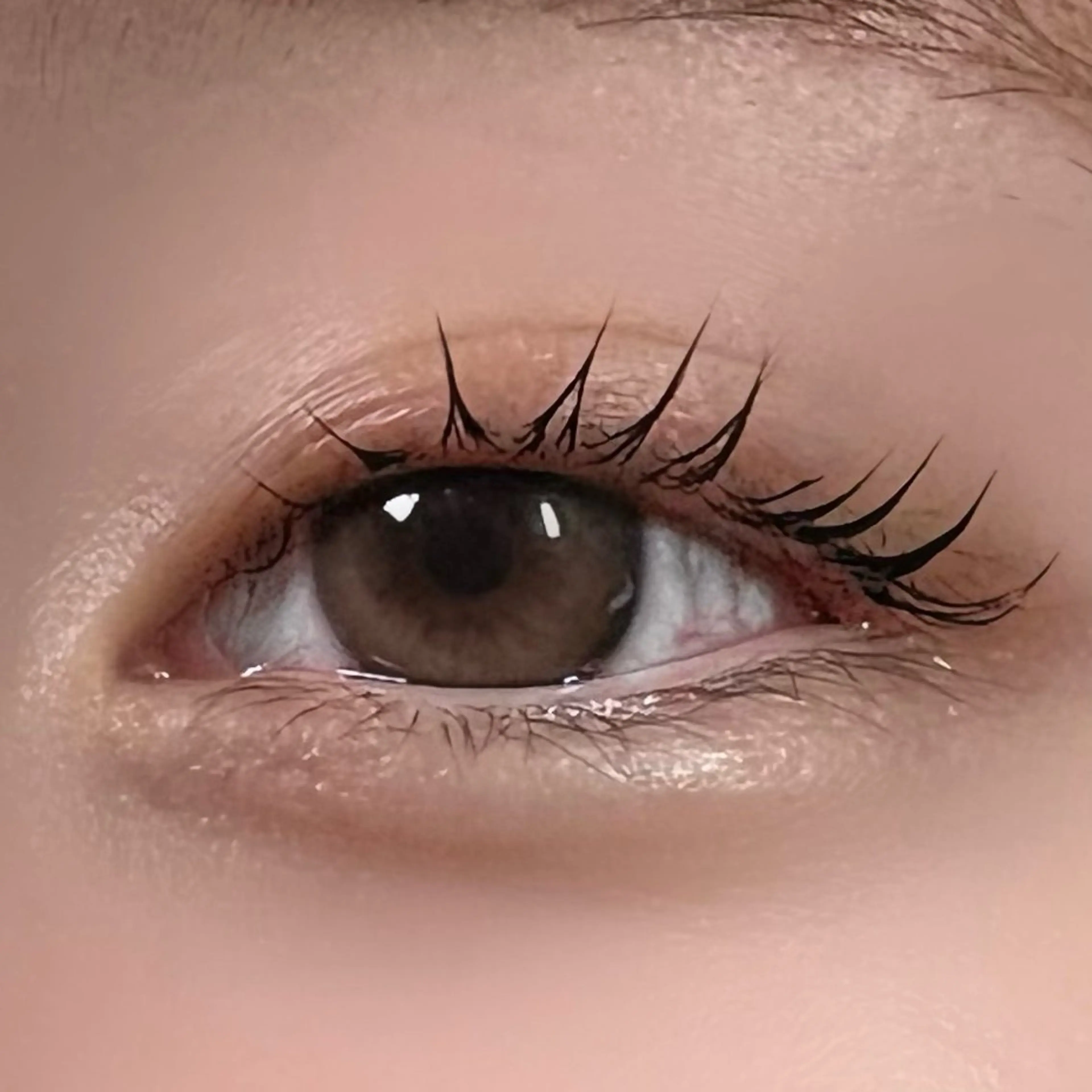 マツエク・マツパ 垢抜け眉WAX専門 ちゅるんまつげ|鎌倉の眉毛・アイブロウイメージ