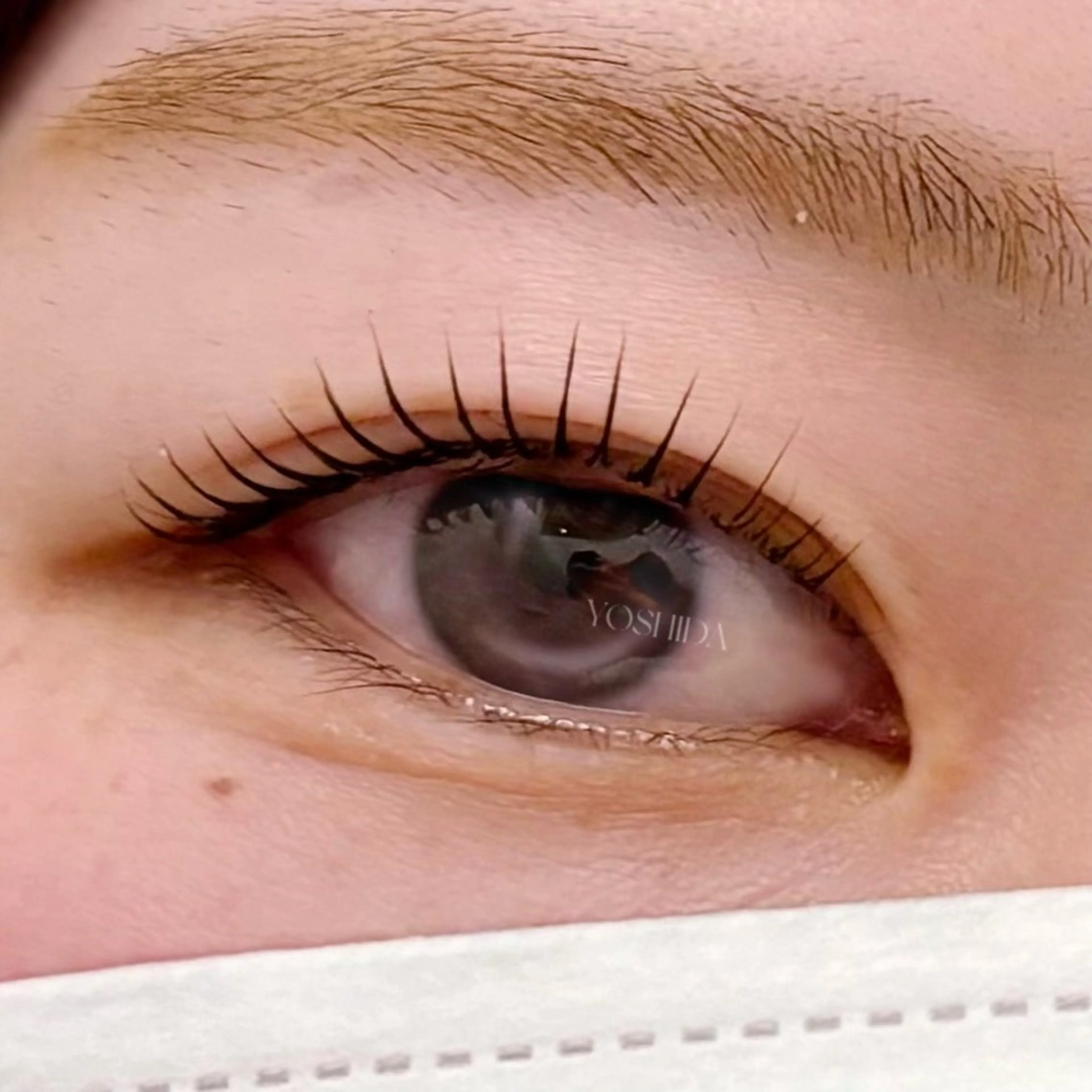 マツエク・マツパ 【一重┊︎奥二重】 YOSHIDA🌙のマツエク・マツパデザイン